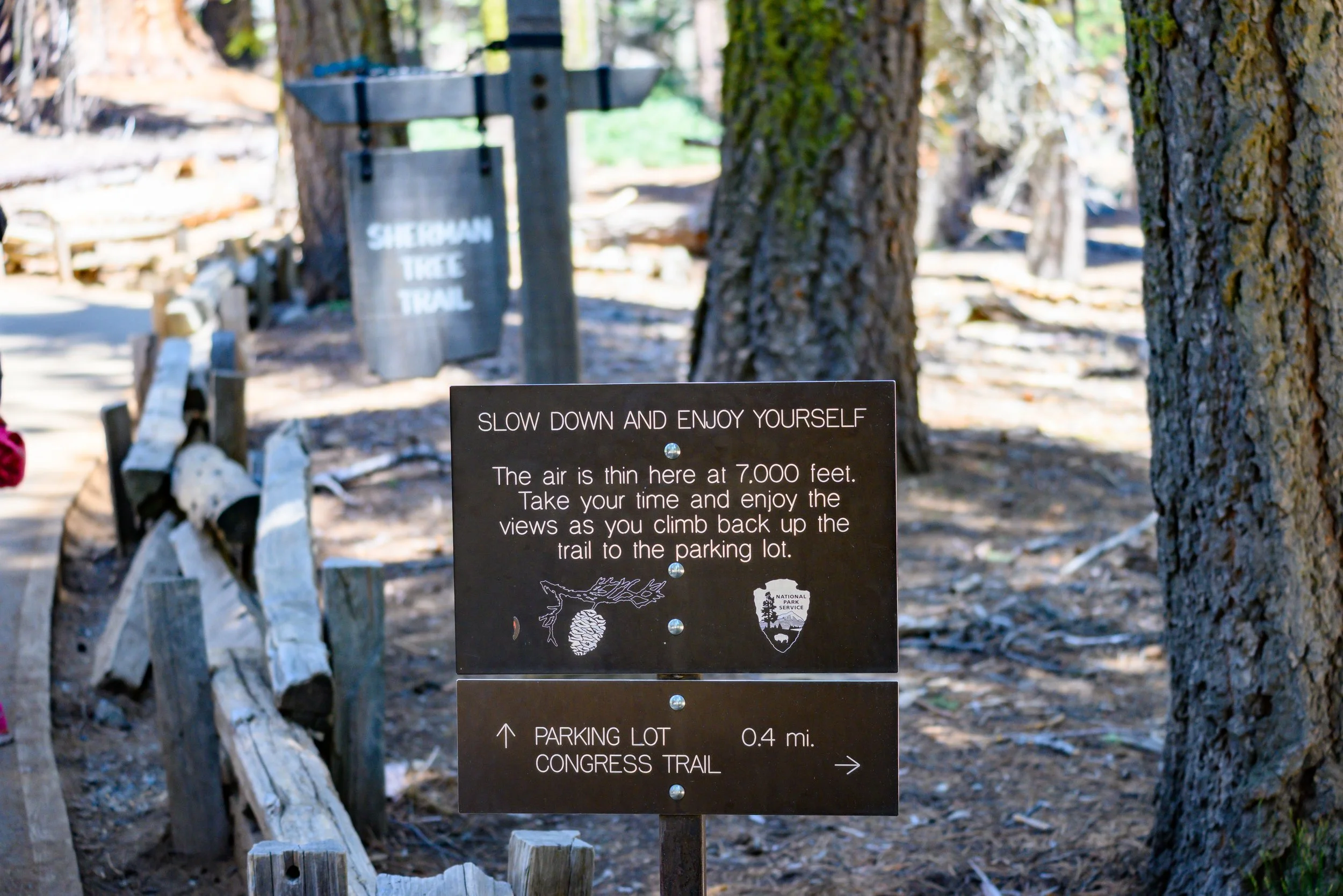 Sequoia-0058.jpg