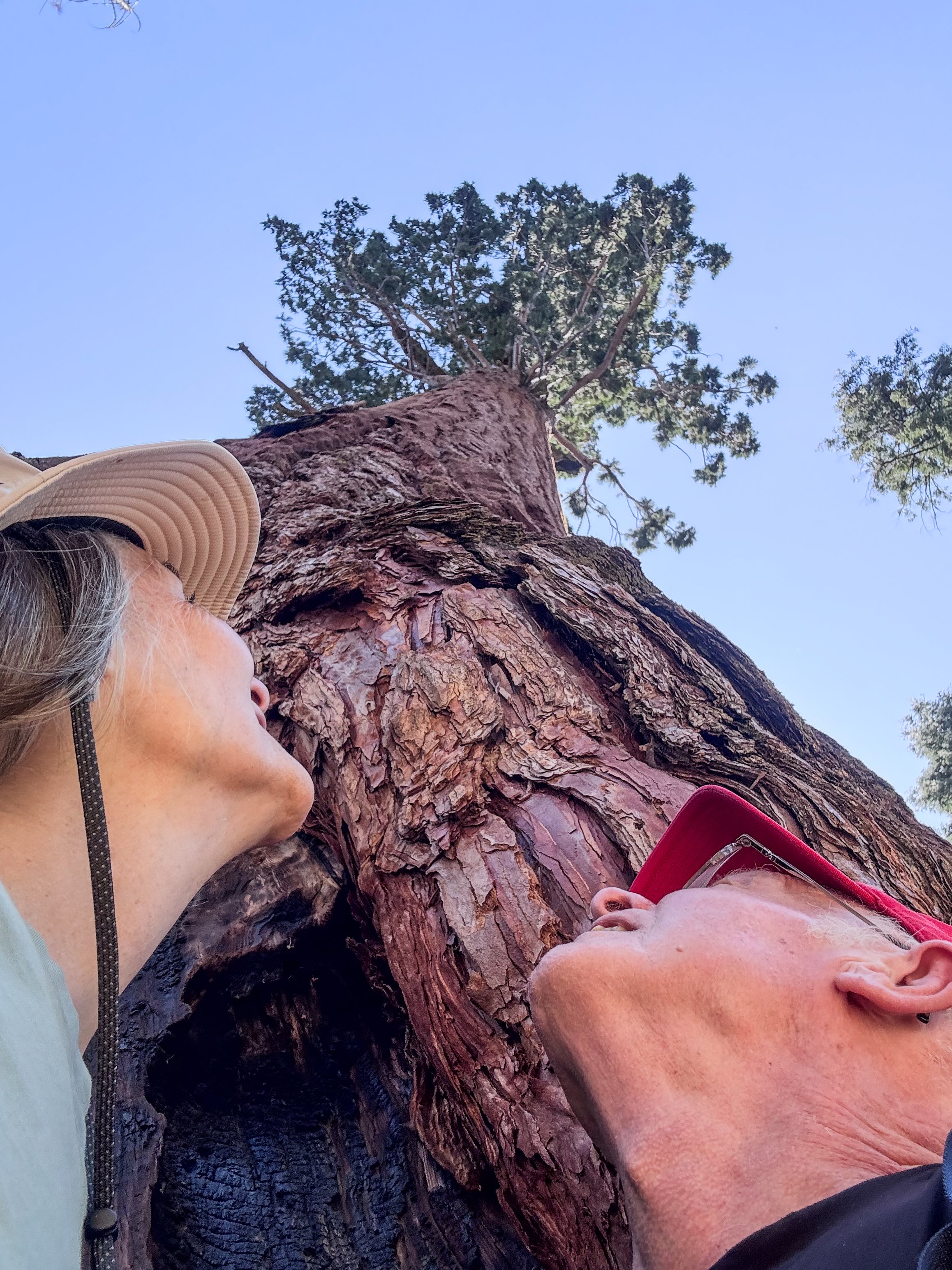 Kings Canyon-8649.jpg