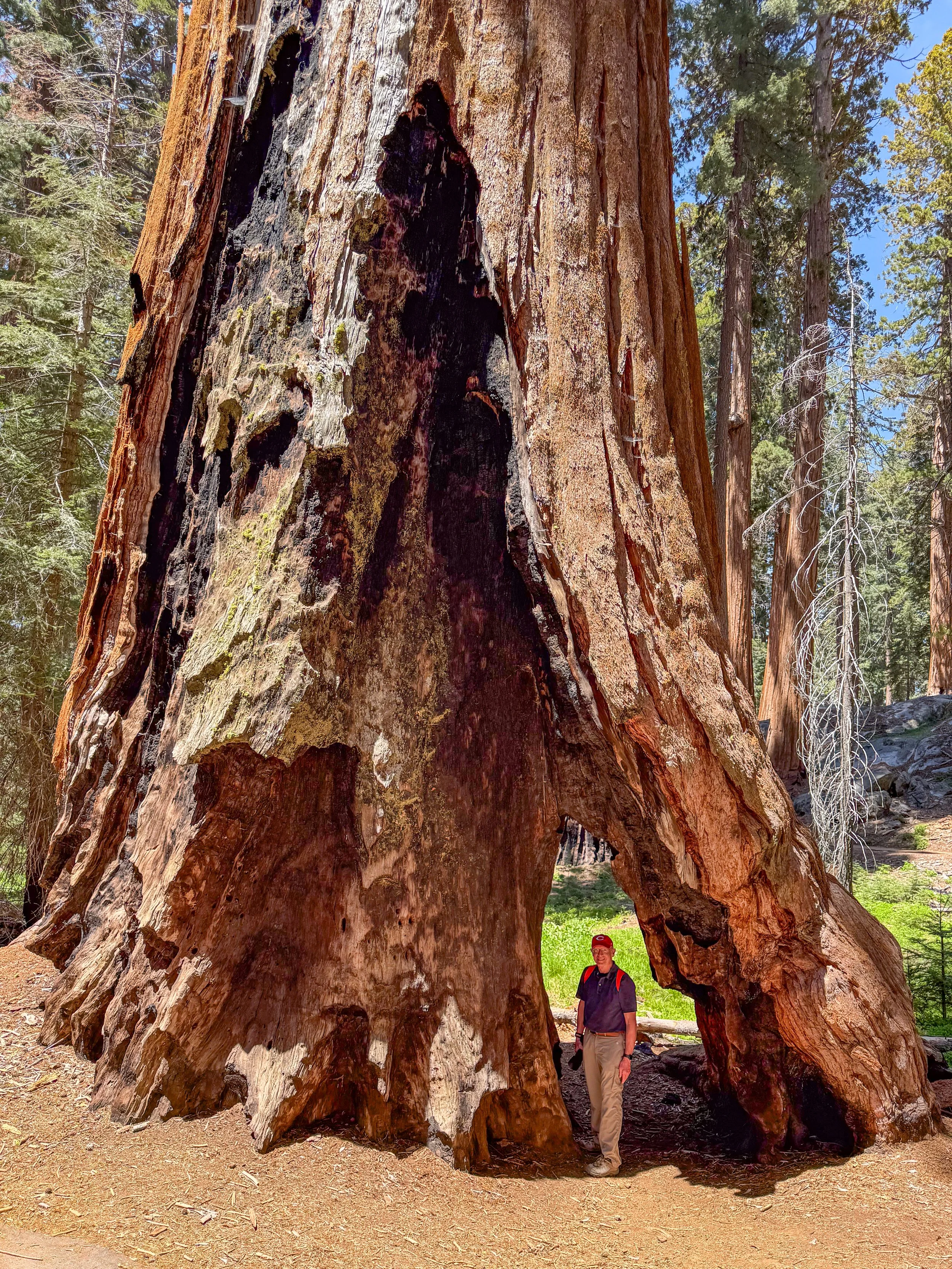 Sequoia-325.jpg