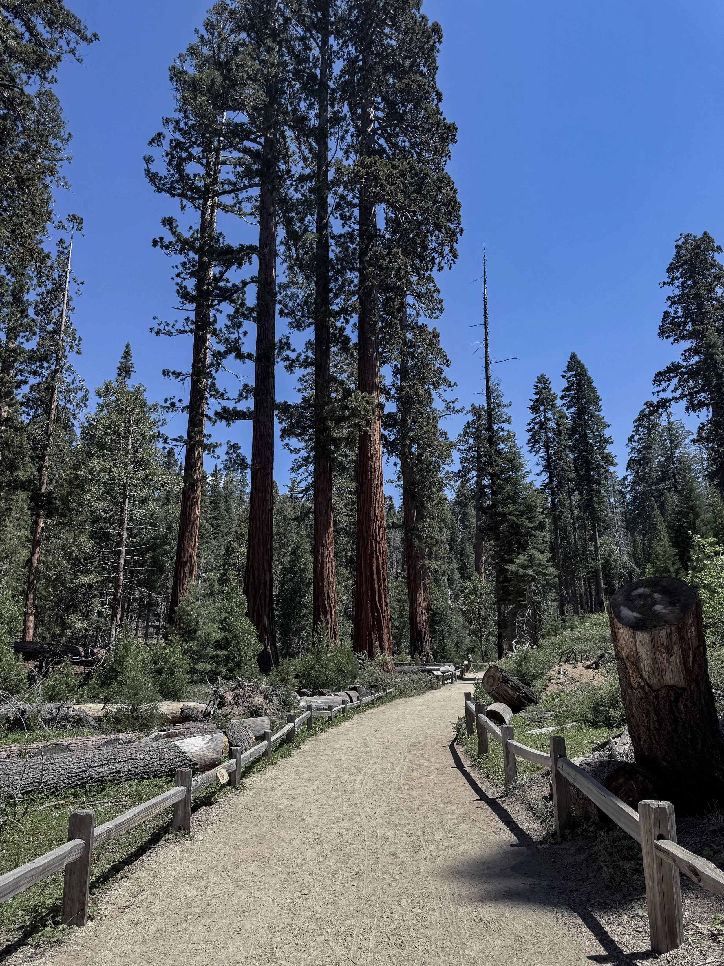 Yosemite-485.jpg