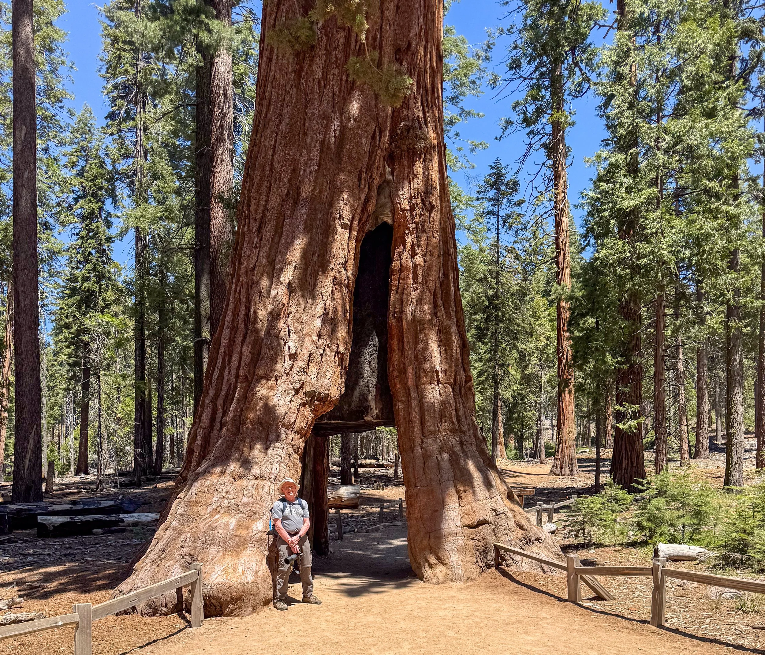 Yosemite-879.jpg
