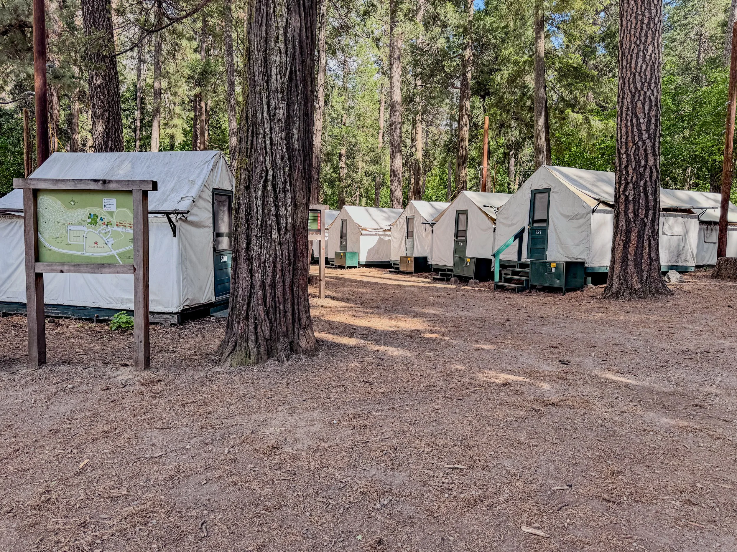 Yosemite-8828.jpg