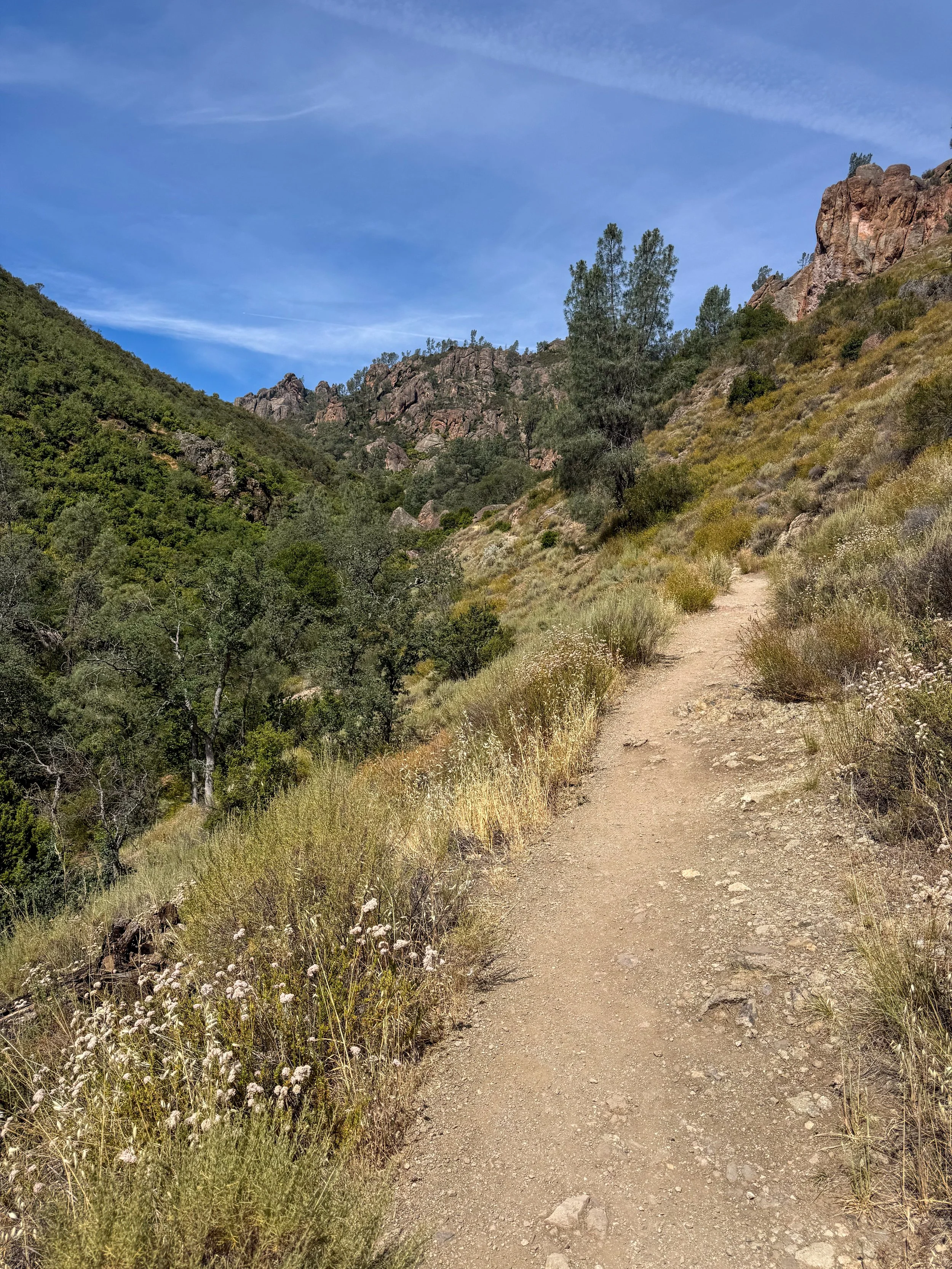 Pinnacles-122.jpg