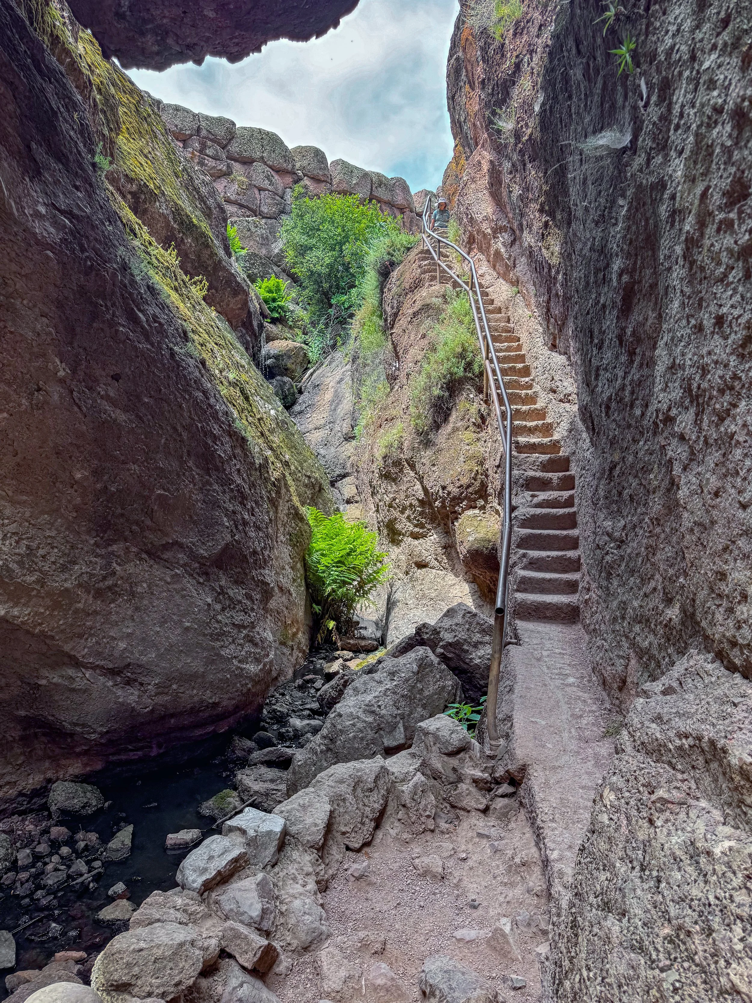 Pinnacles-694.jpg