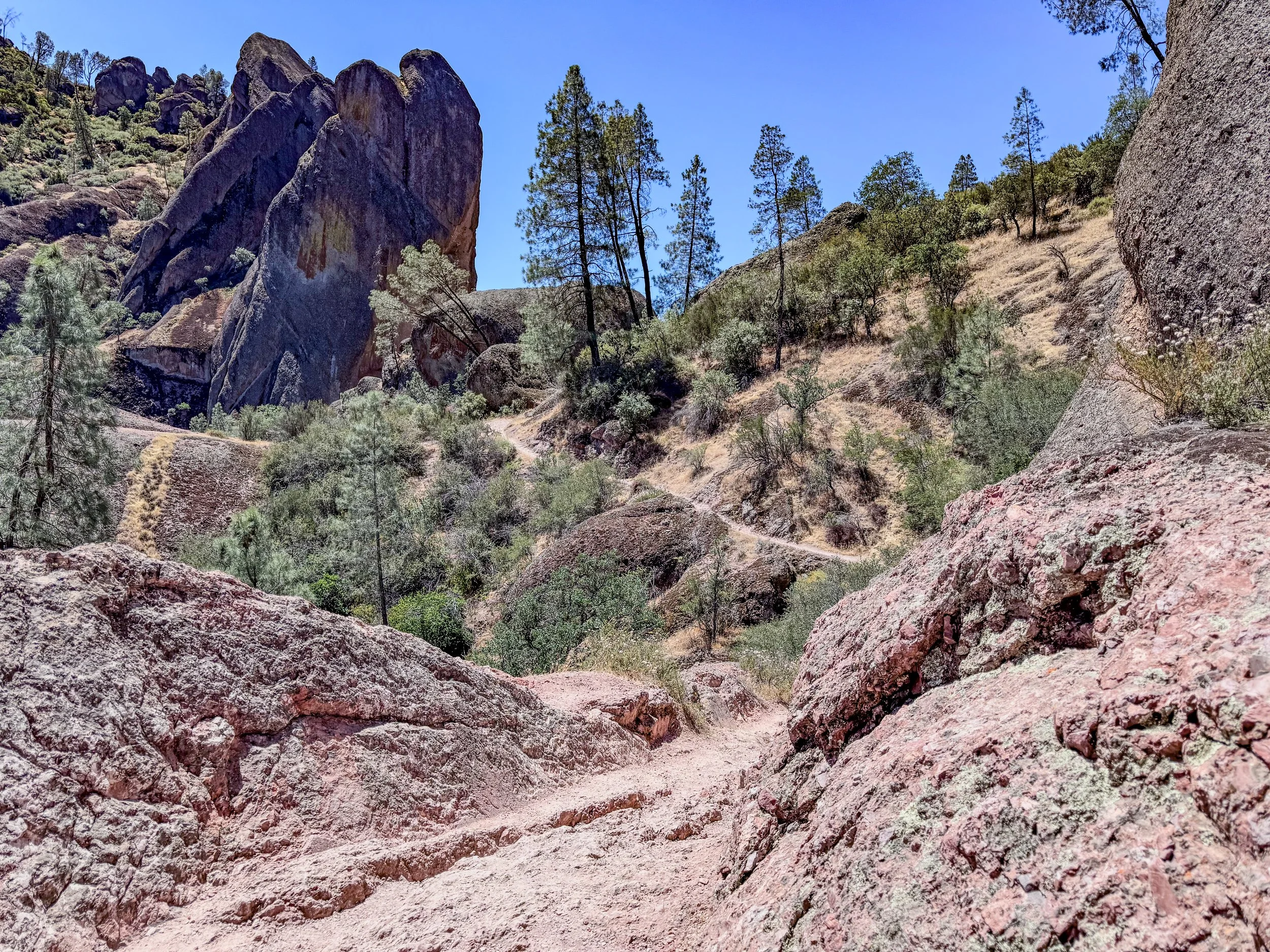Pinnacles-8867.jpg