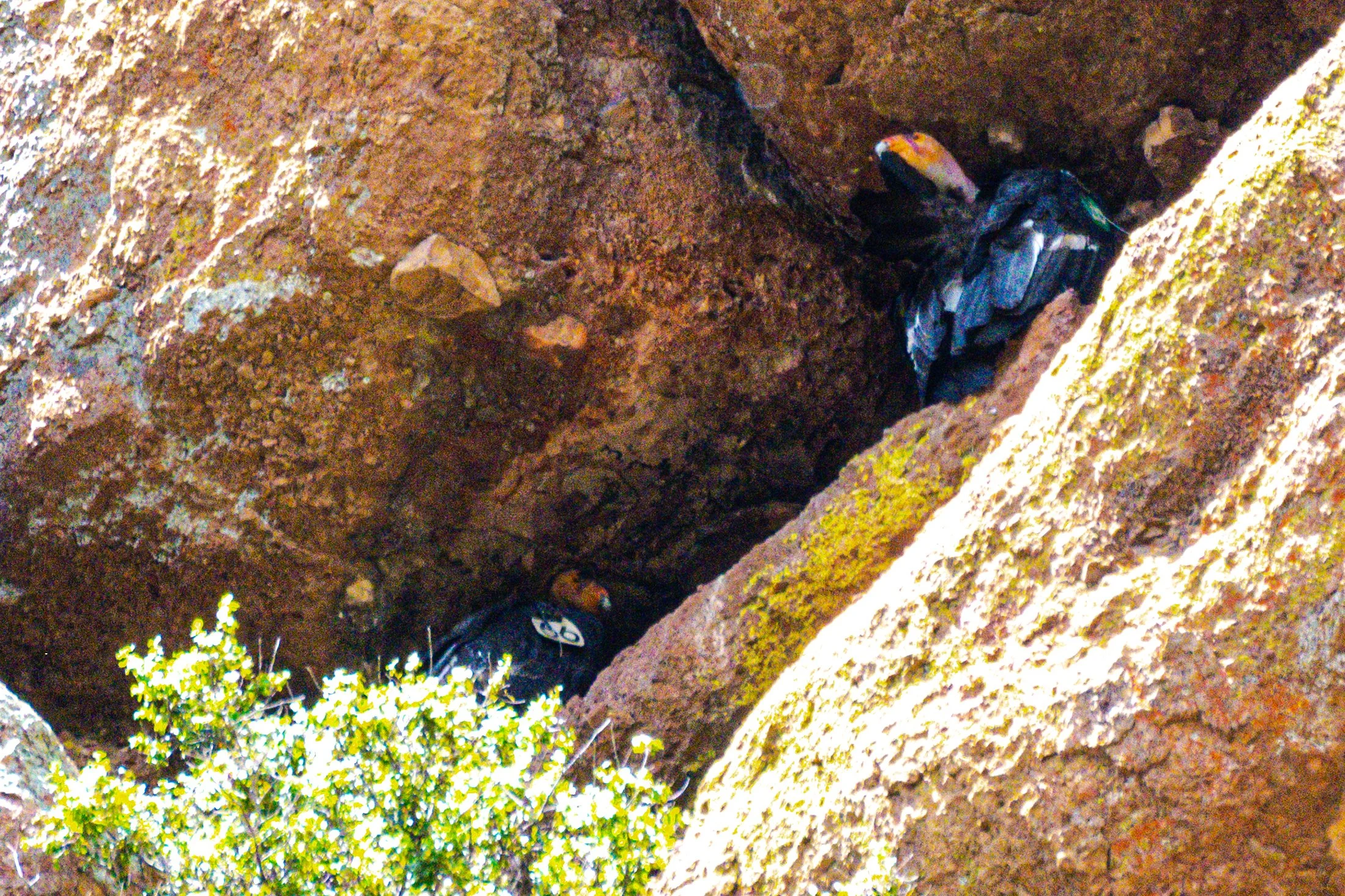 Pinnacles-0689.jpg