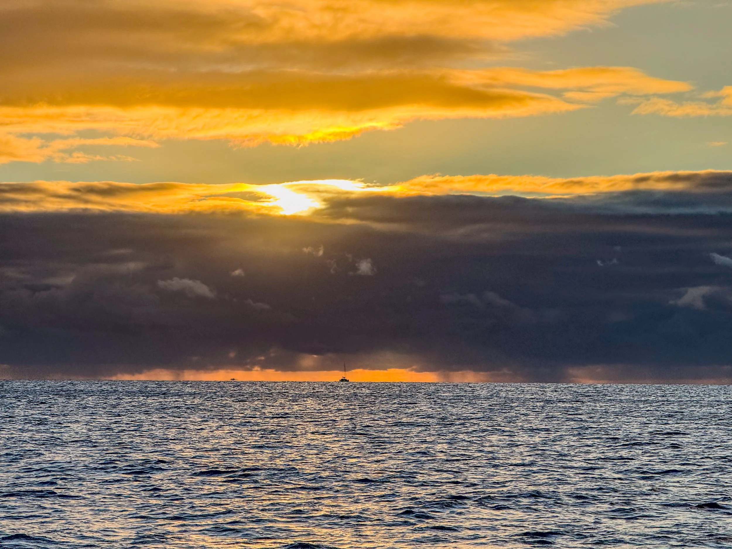 Vigin Islands-6036.jpg