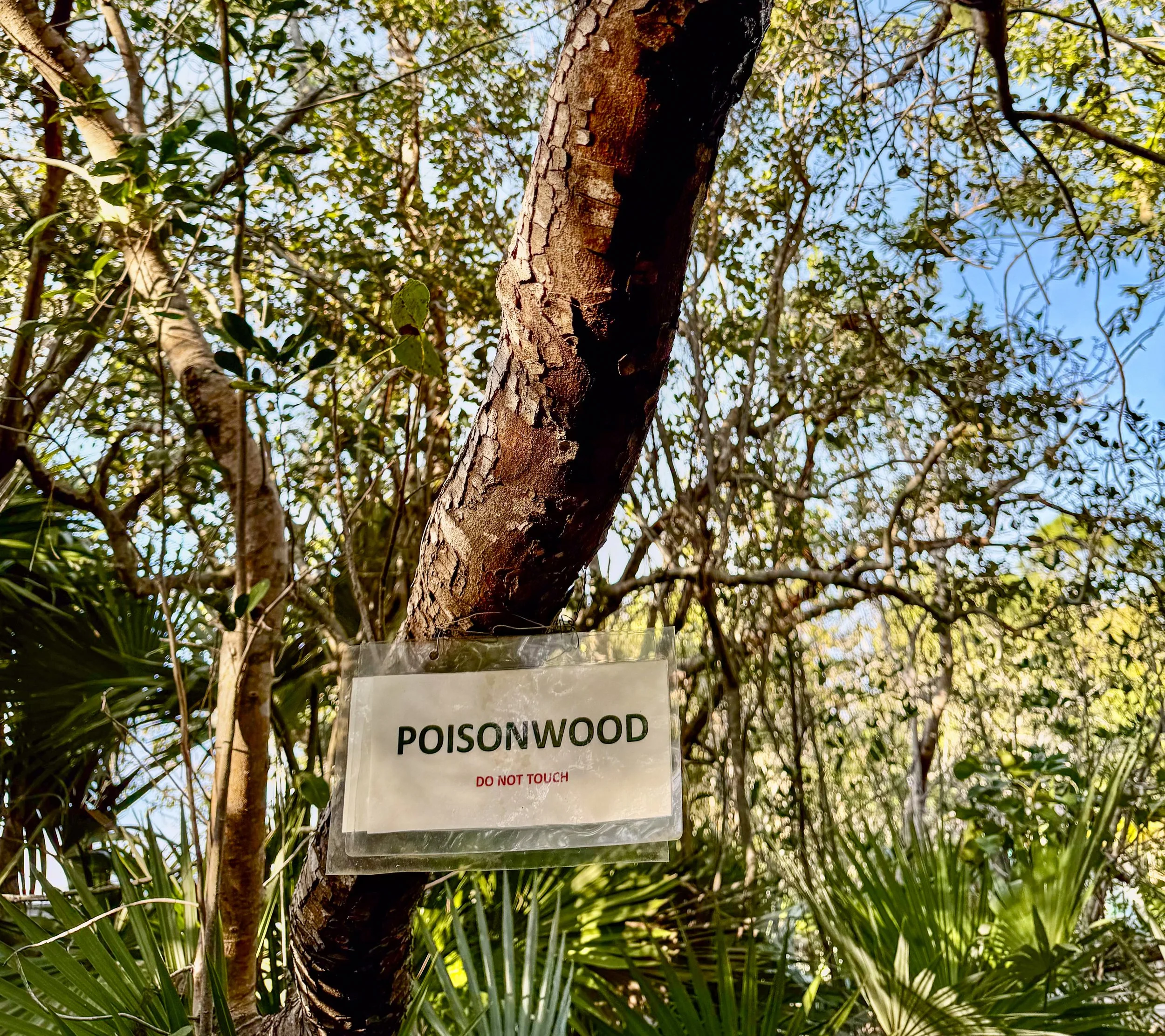 Key West-.jpg