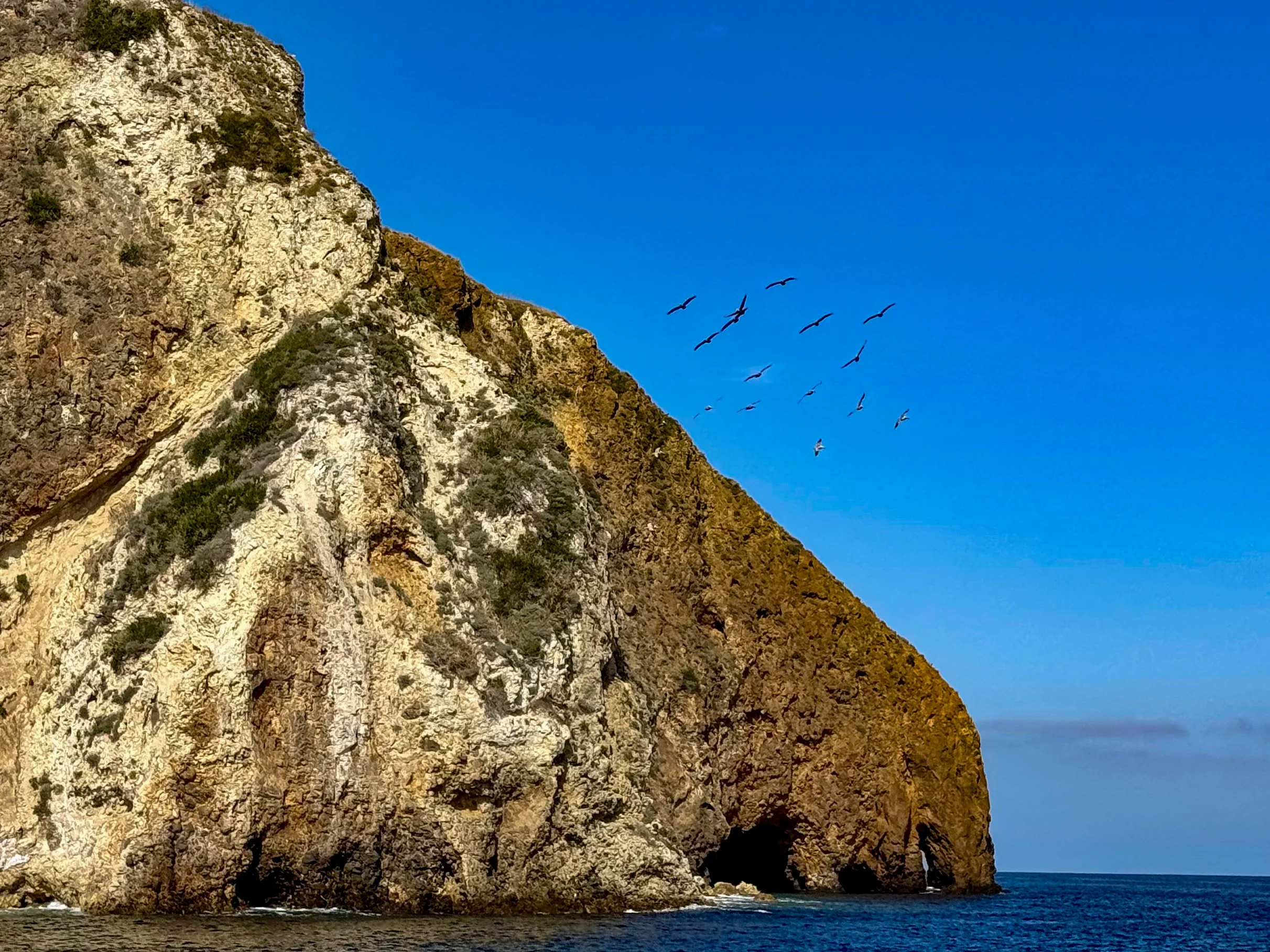 Channel Islands-26.jpg