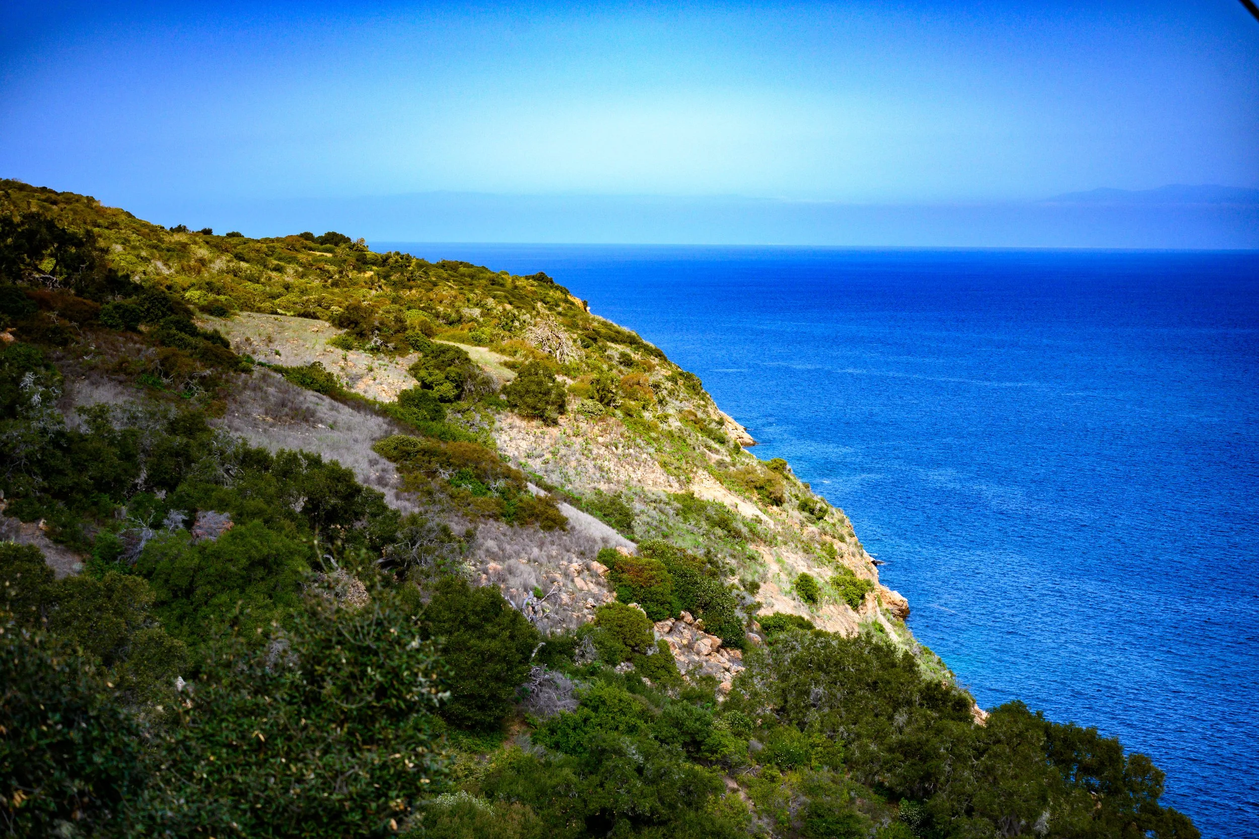 Channel Islands-31.jpg