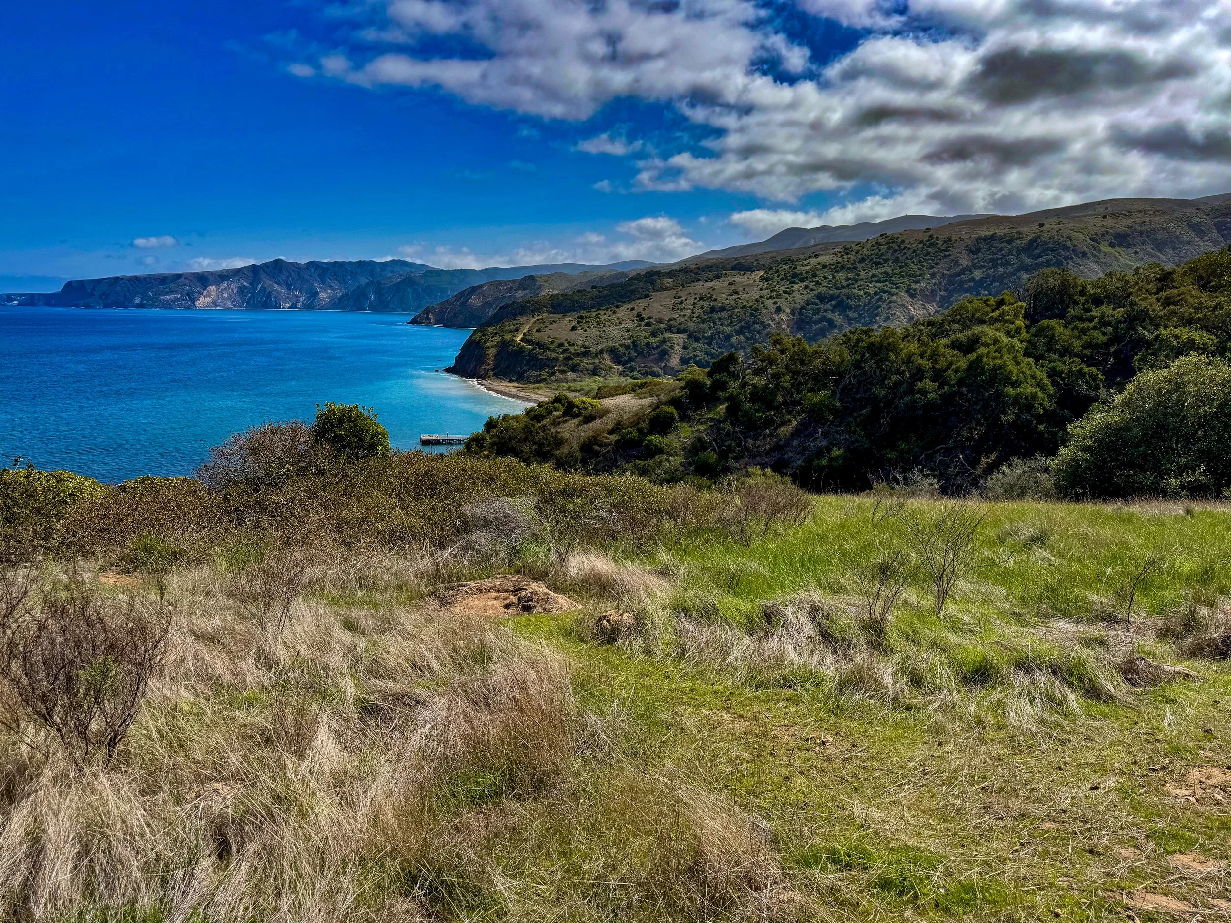 Channel Islands-32.jpg