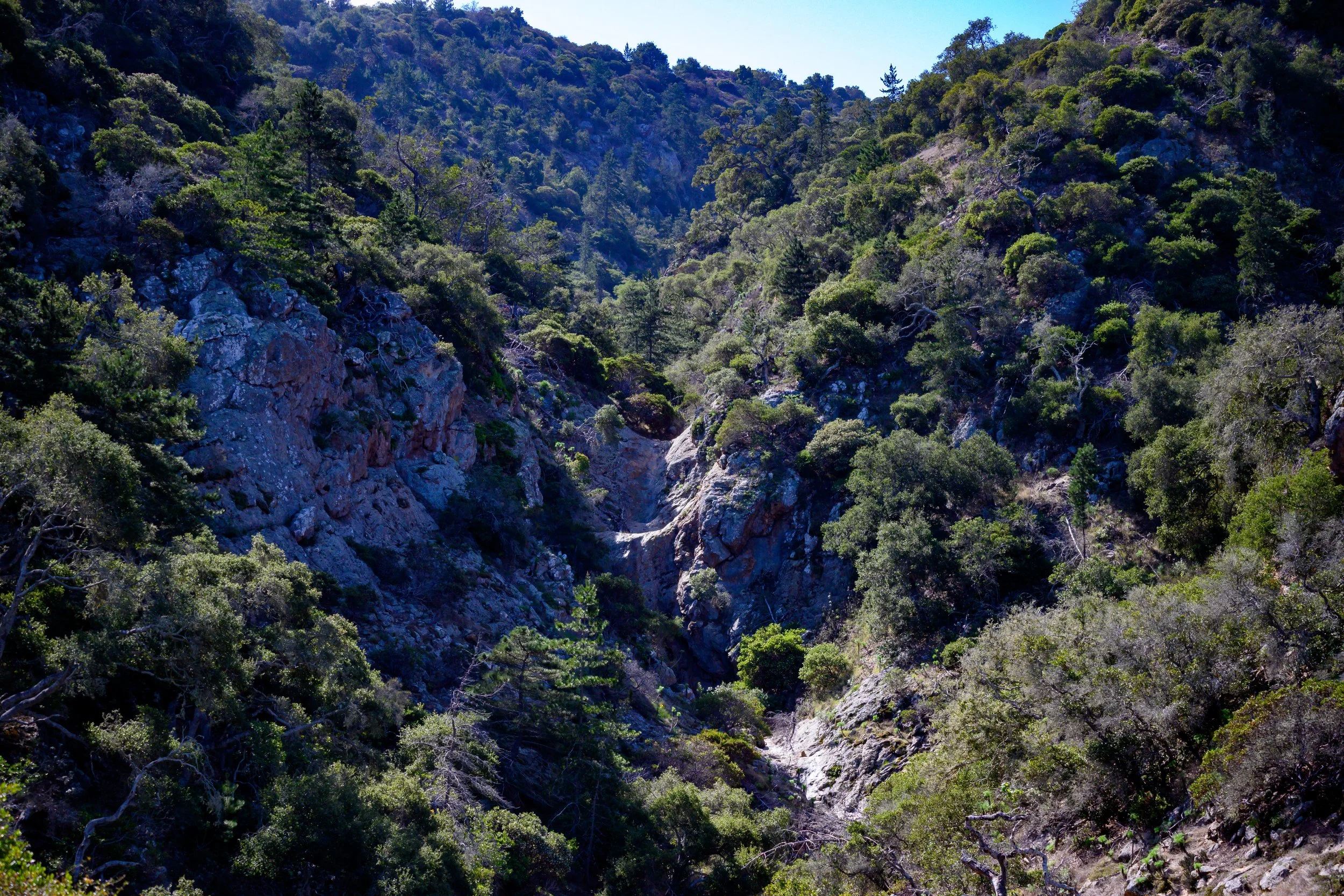 Channel Islands-33.jpg