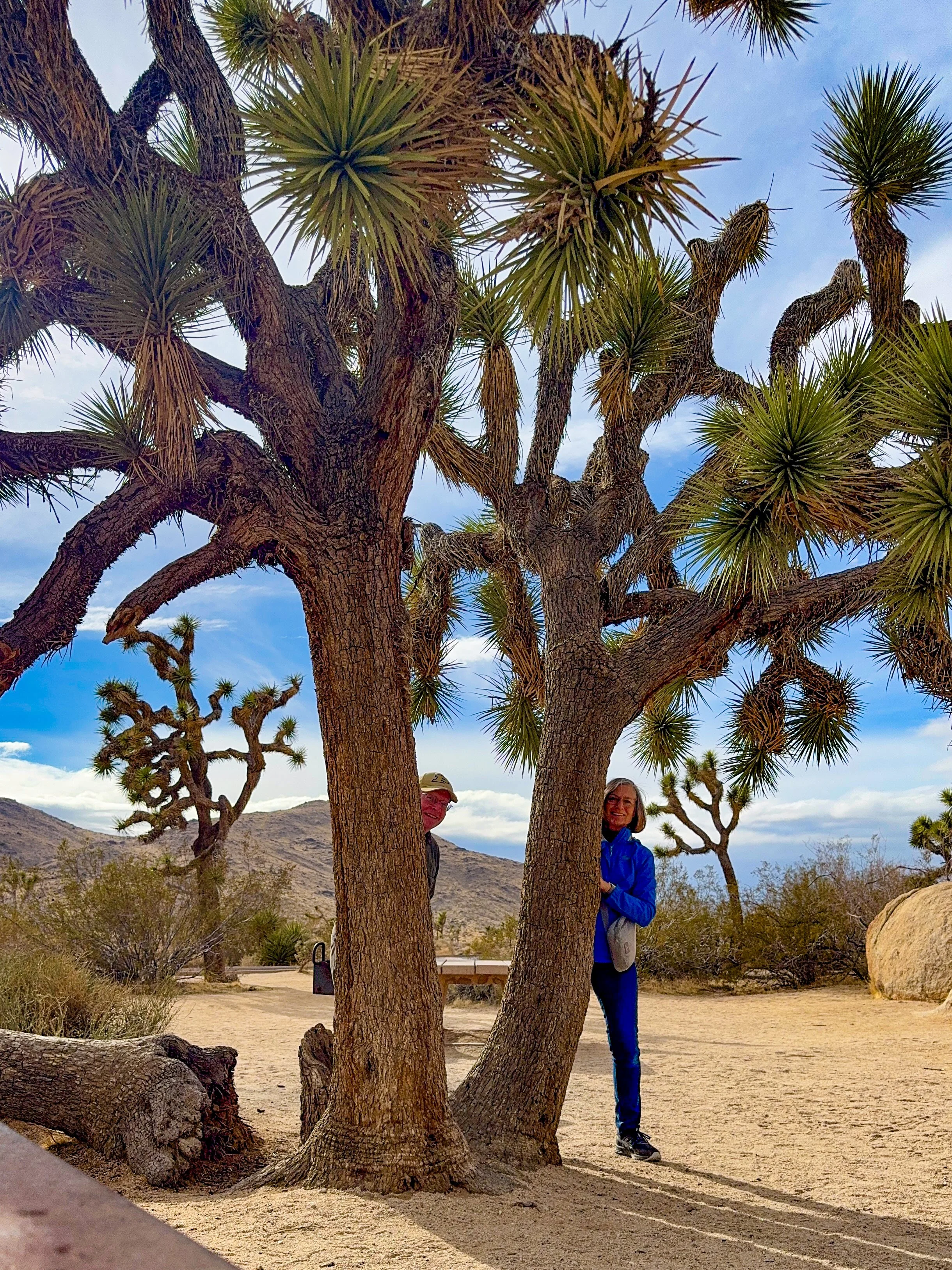 Jashua Tree-12.jpg