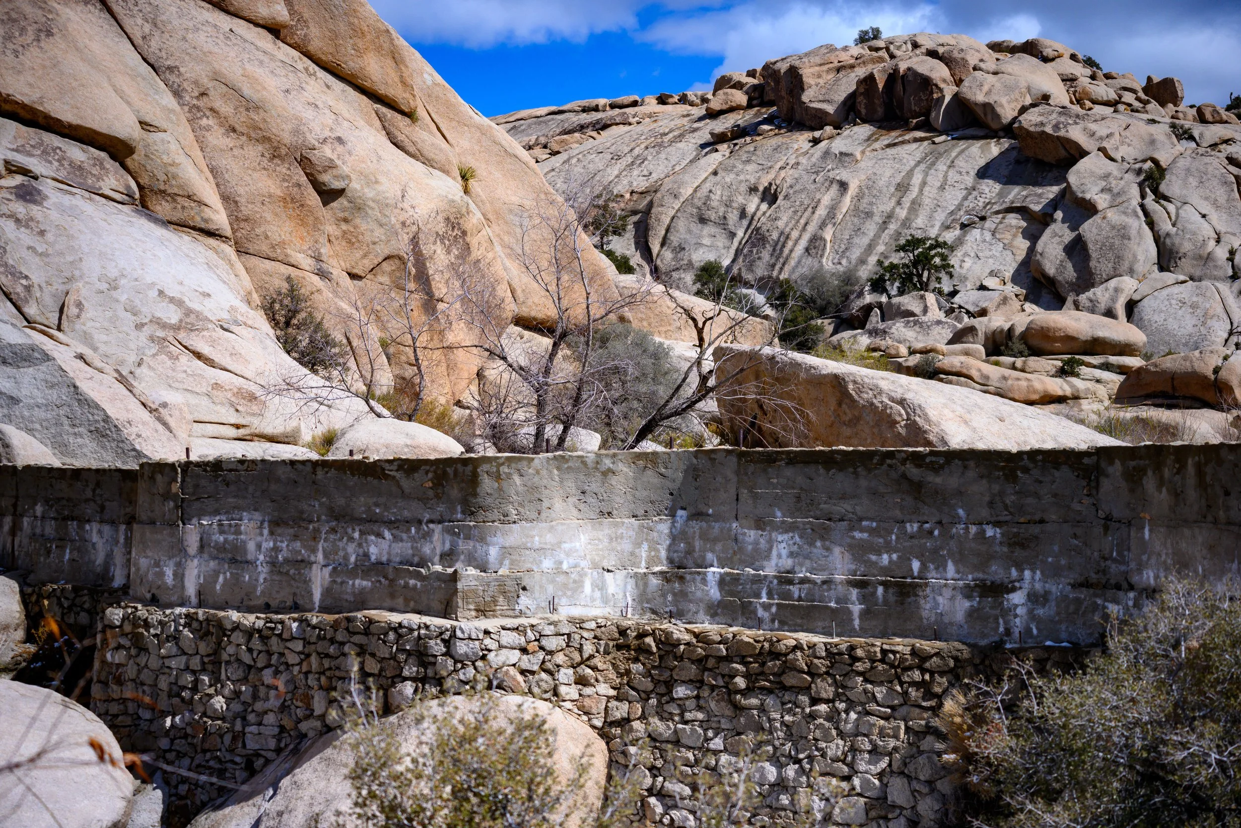 Jashua Tree-33.jpg