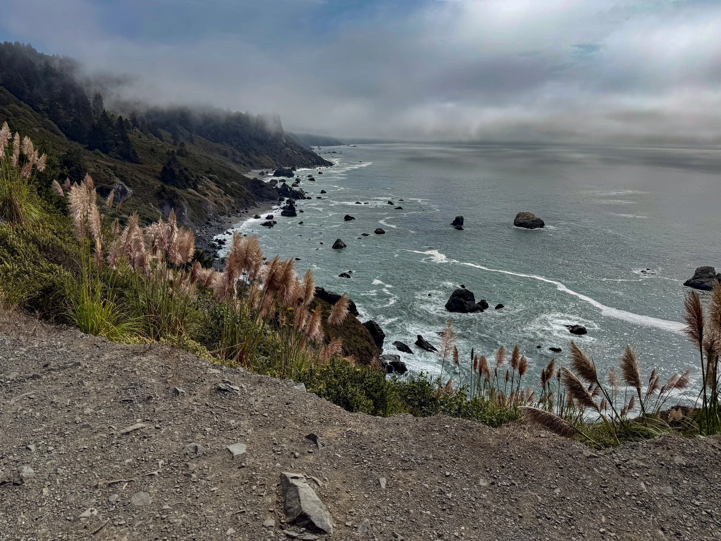 Redwood NP-30.jpg