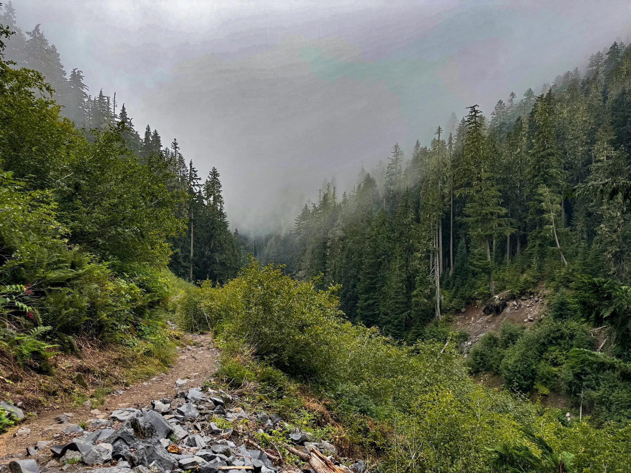 Mt. Rainier NP-5.jpg