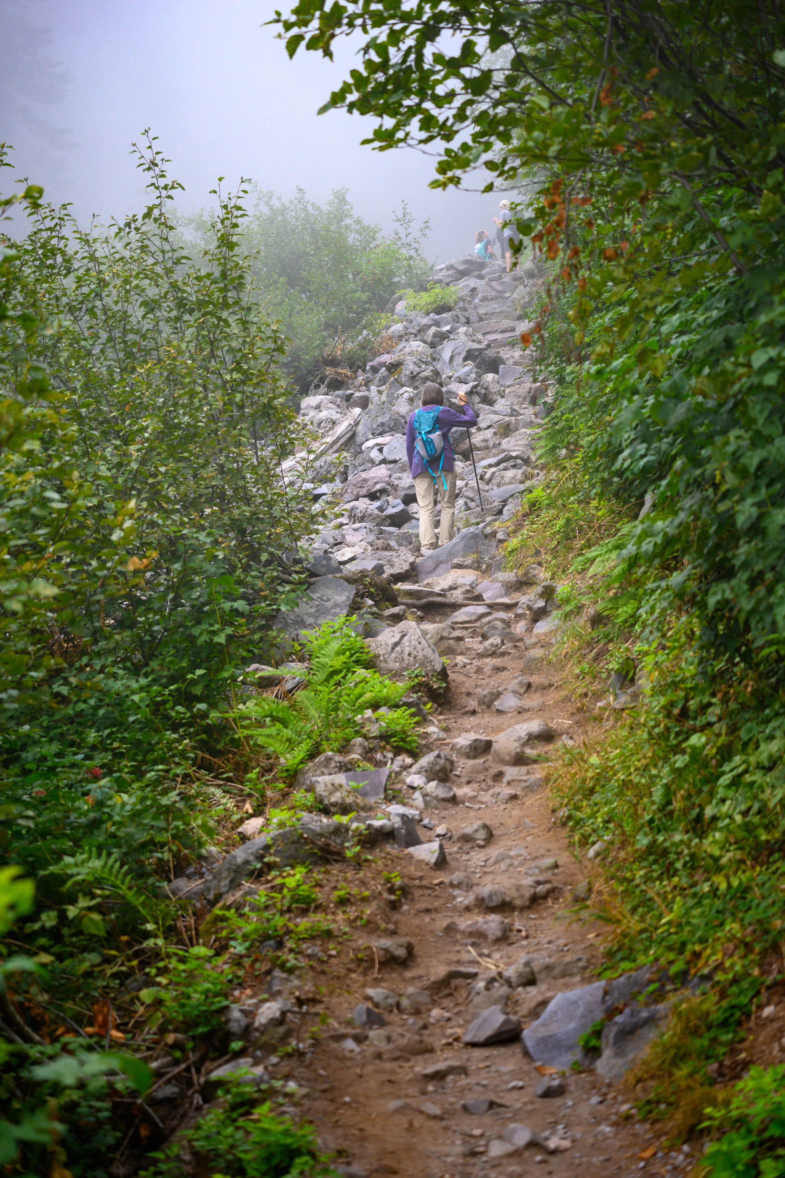 Mt. Rainier NP-6.jpg
