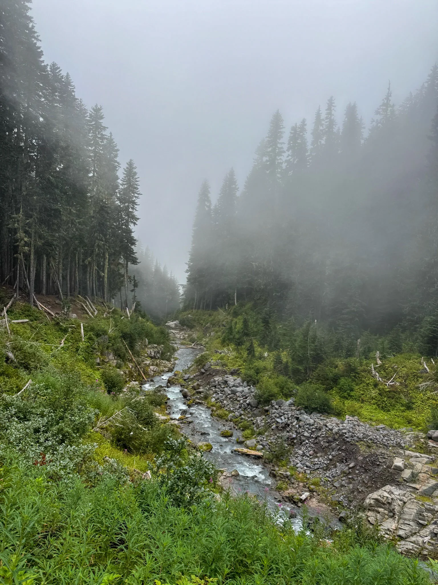 Mt. Rainier NP-8.jpg