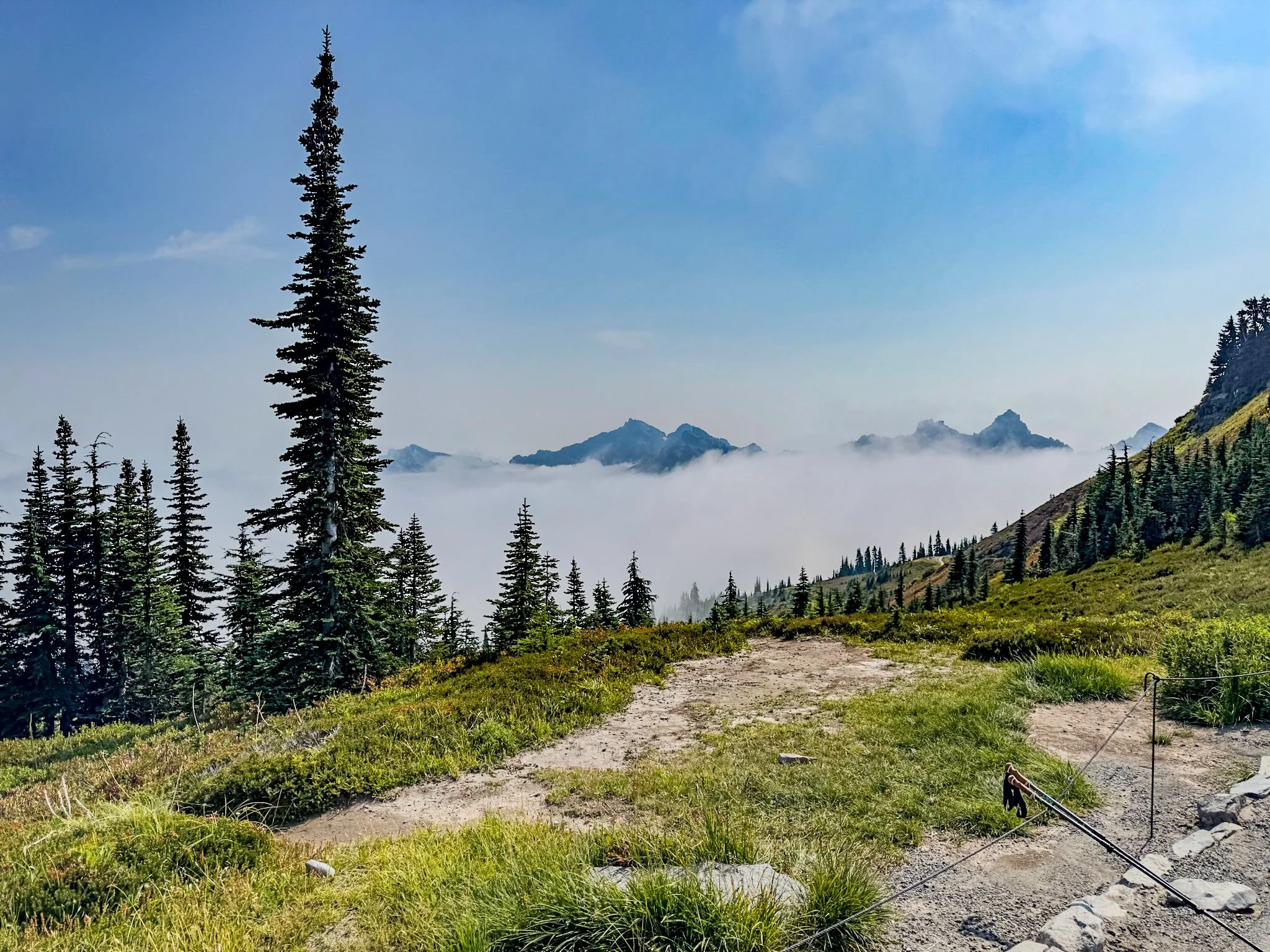 Mt. Rainier NP-17.jpg