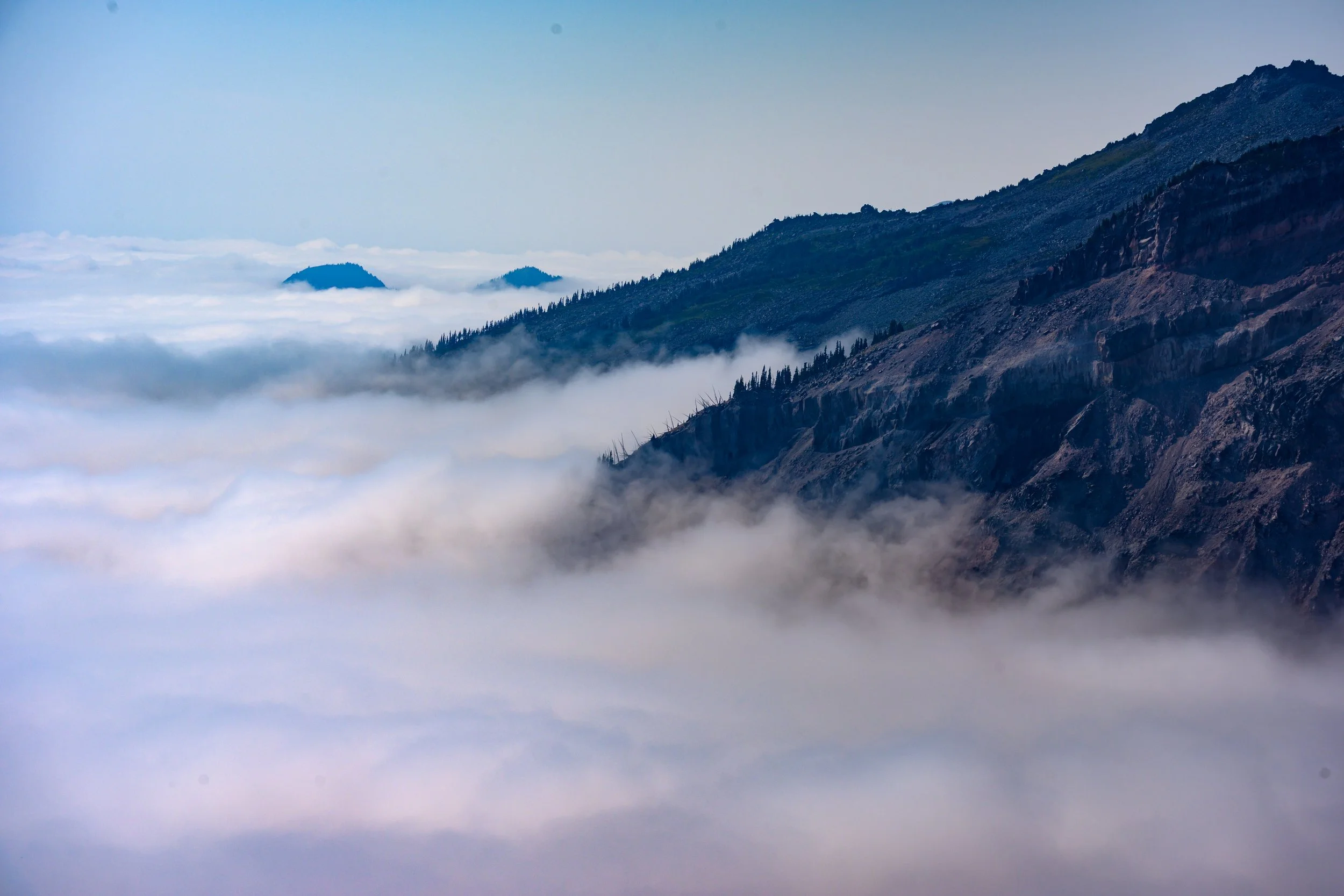Mt. Rainier NP-21.jpg