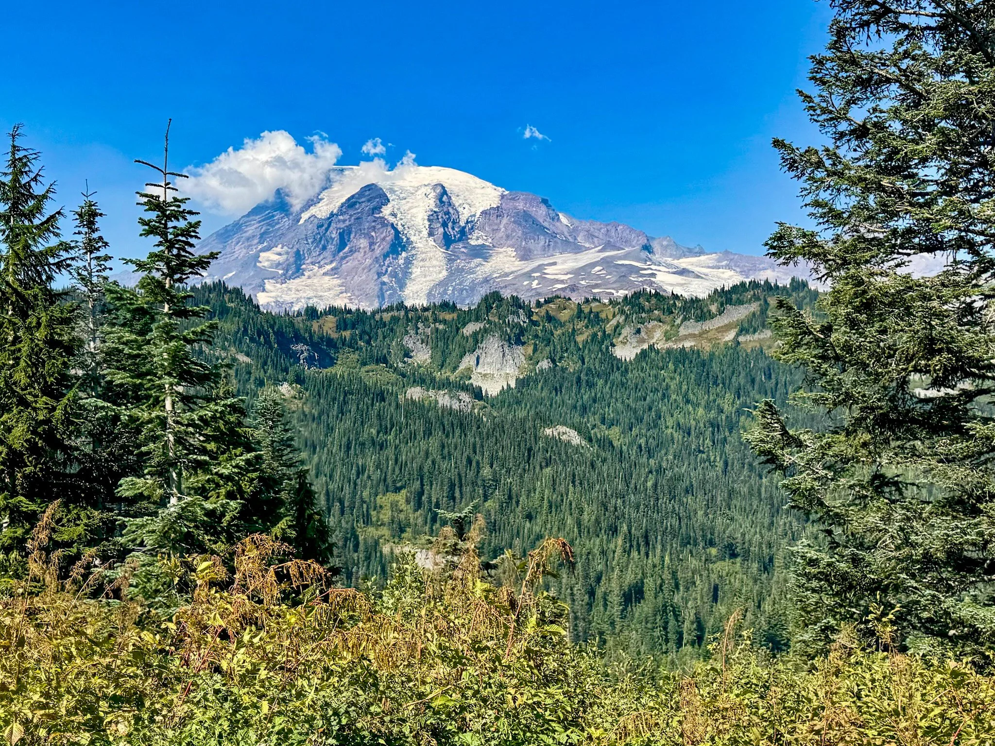 Mt. Rainier NP-38.jpg