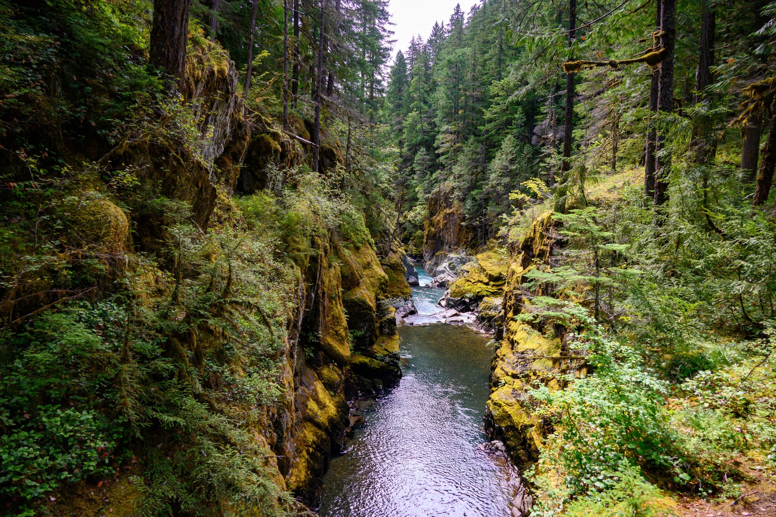 Mt. Rainier NP-33.jpg