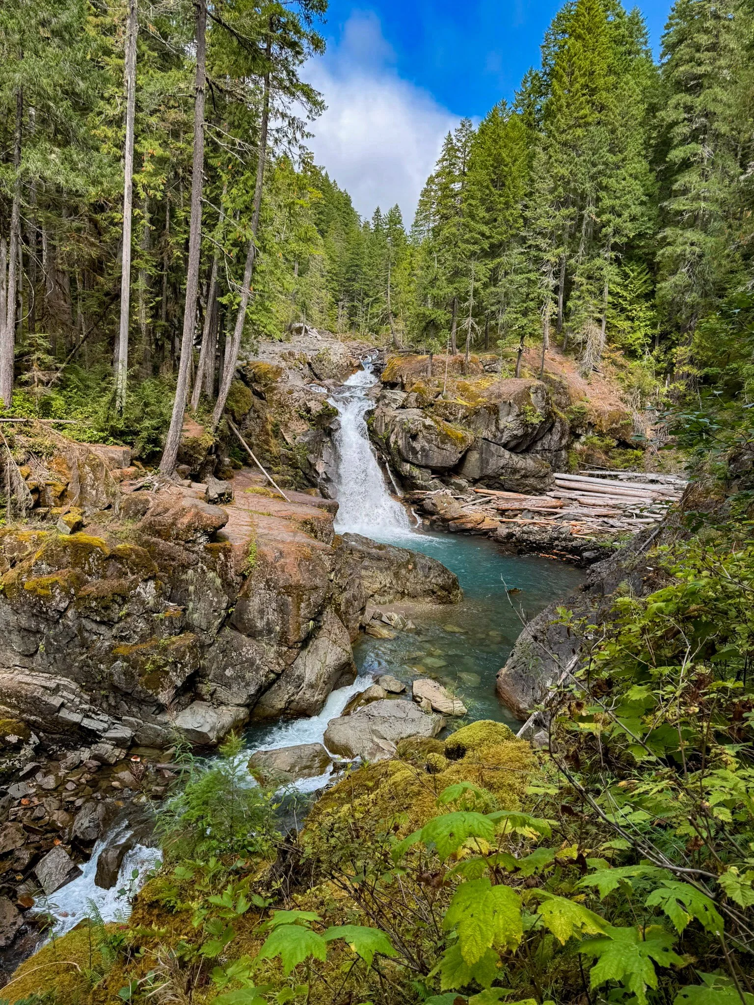 Mt. Rainier NP-34.jpg