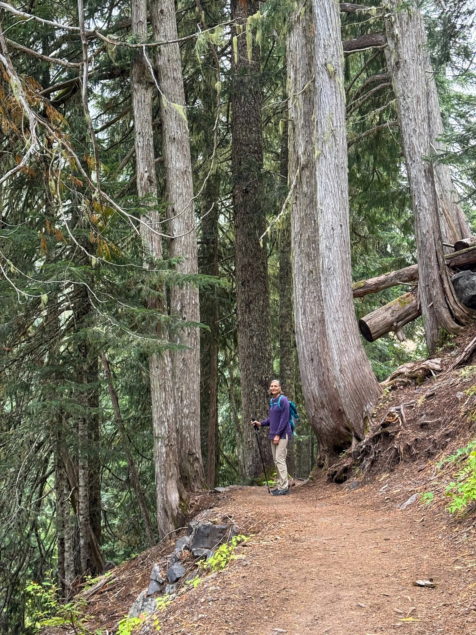 Mt. Rainier NP-7.jpg