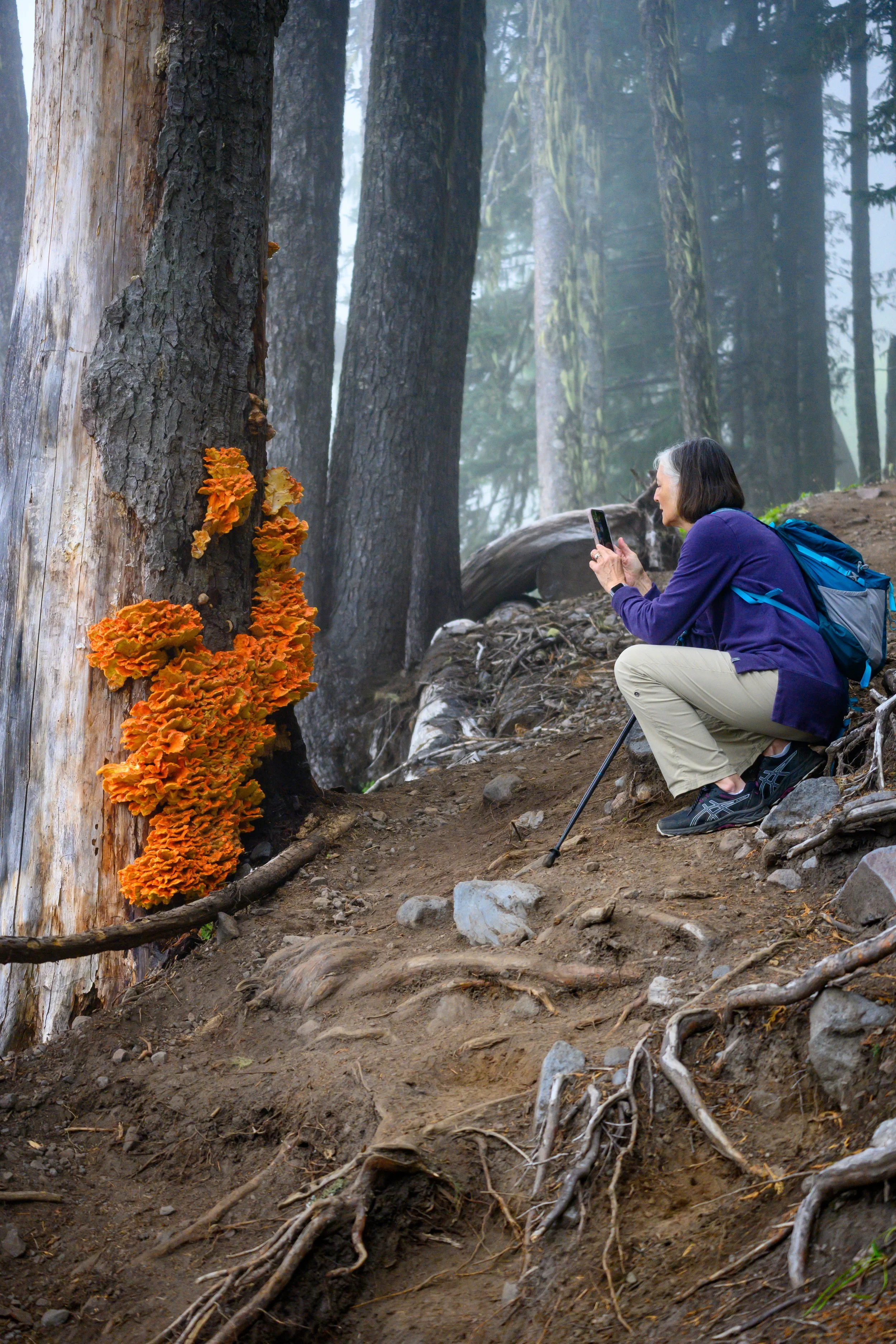 Mt. Rainier NP-9.jpg