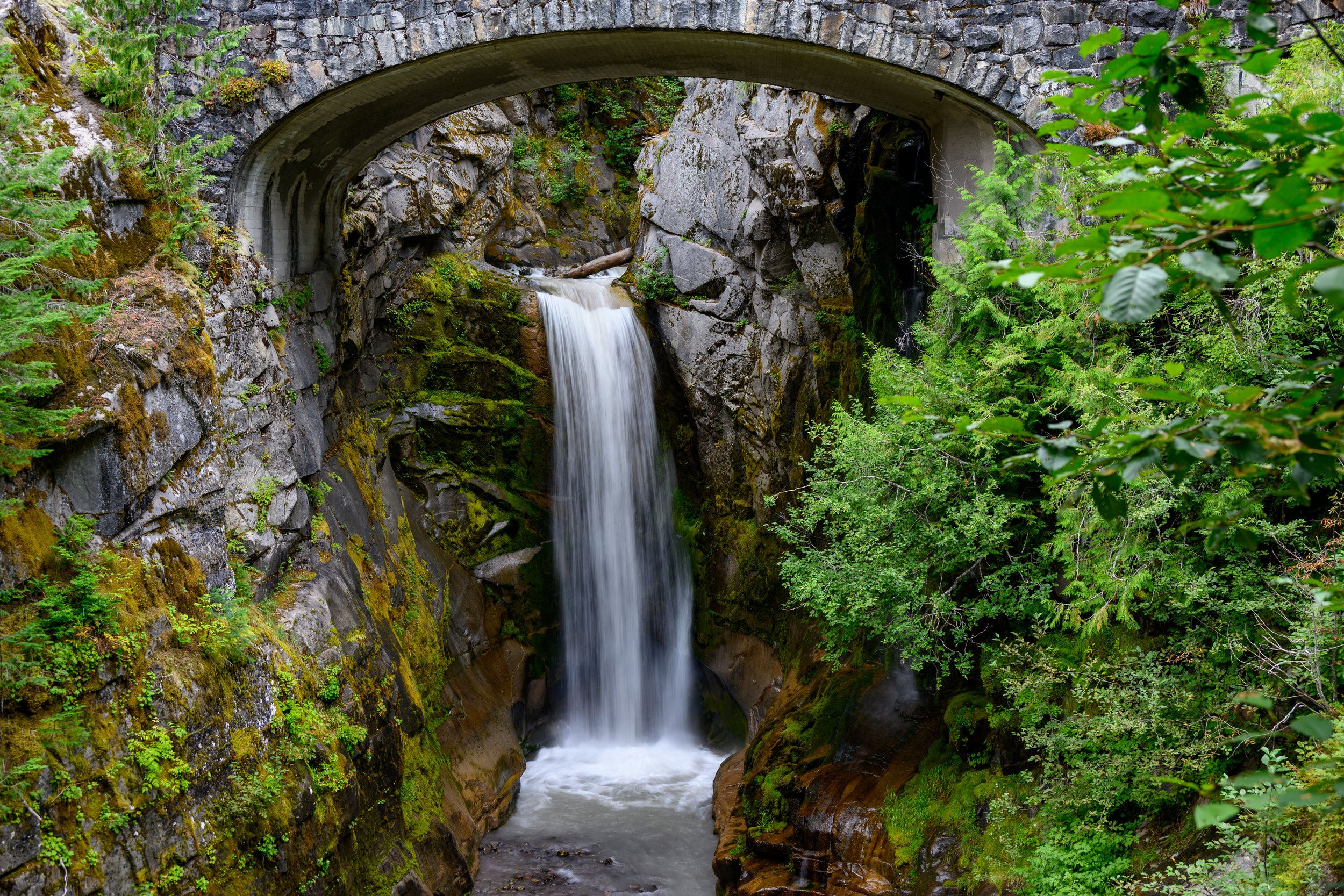 Mt. Rainier NP-3.jpg