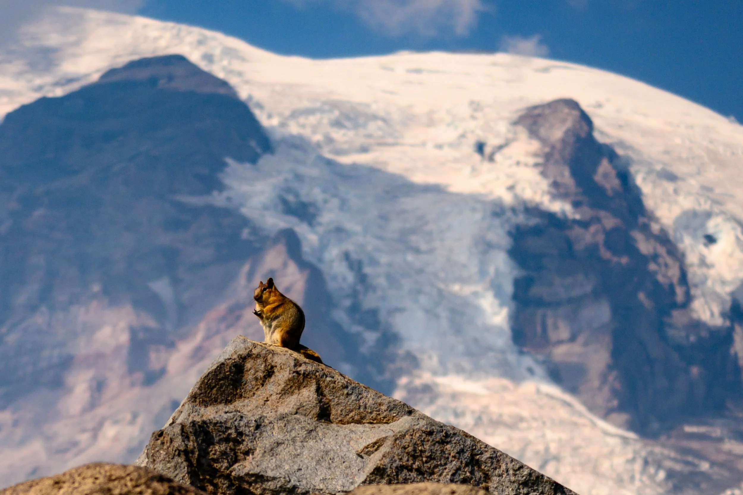 Mt. Rainier NP-22.jpg