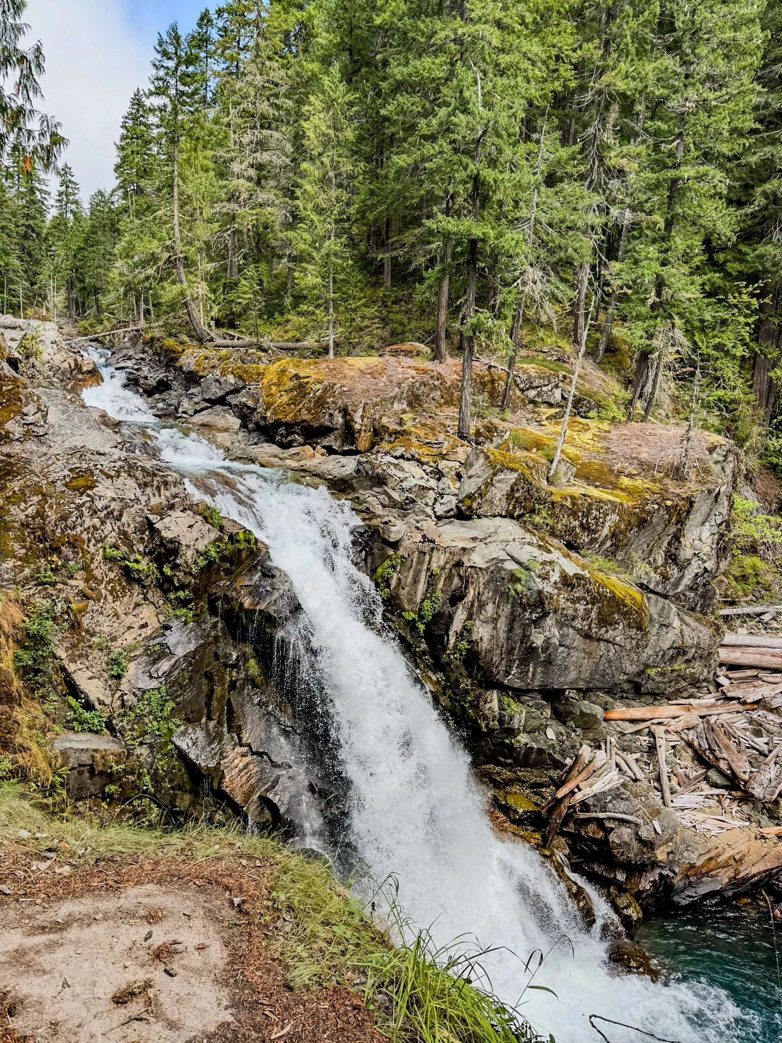 Mt. Rainier NP-32.jpg