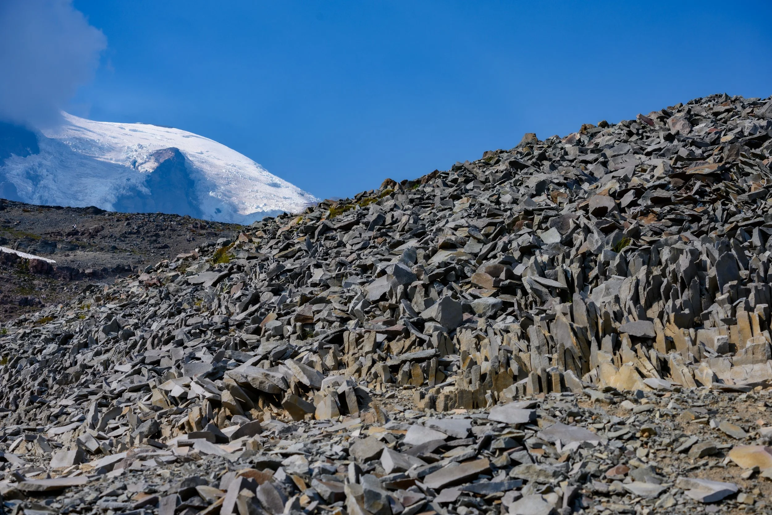 Mt. Rainier NP-27.jpg