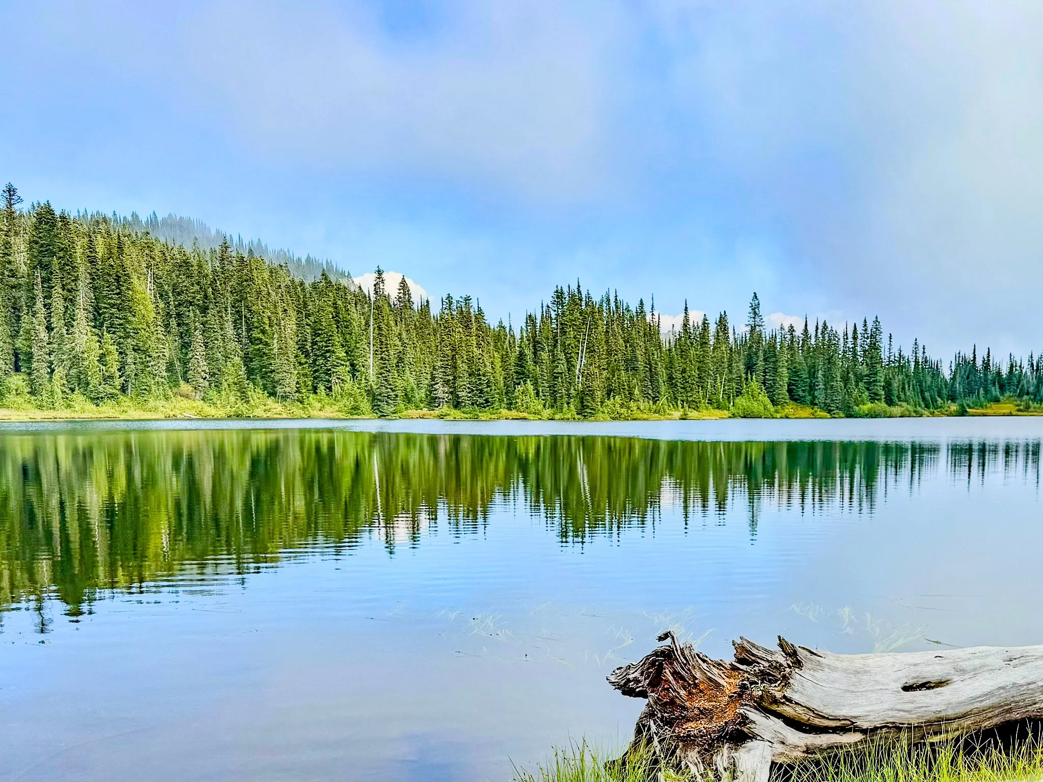 Mt. Rainier NP-40.jpg