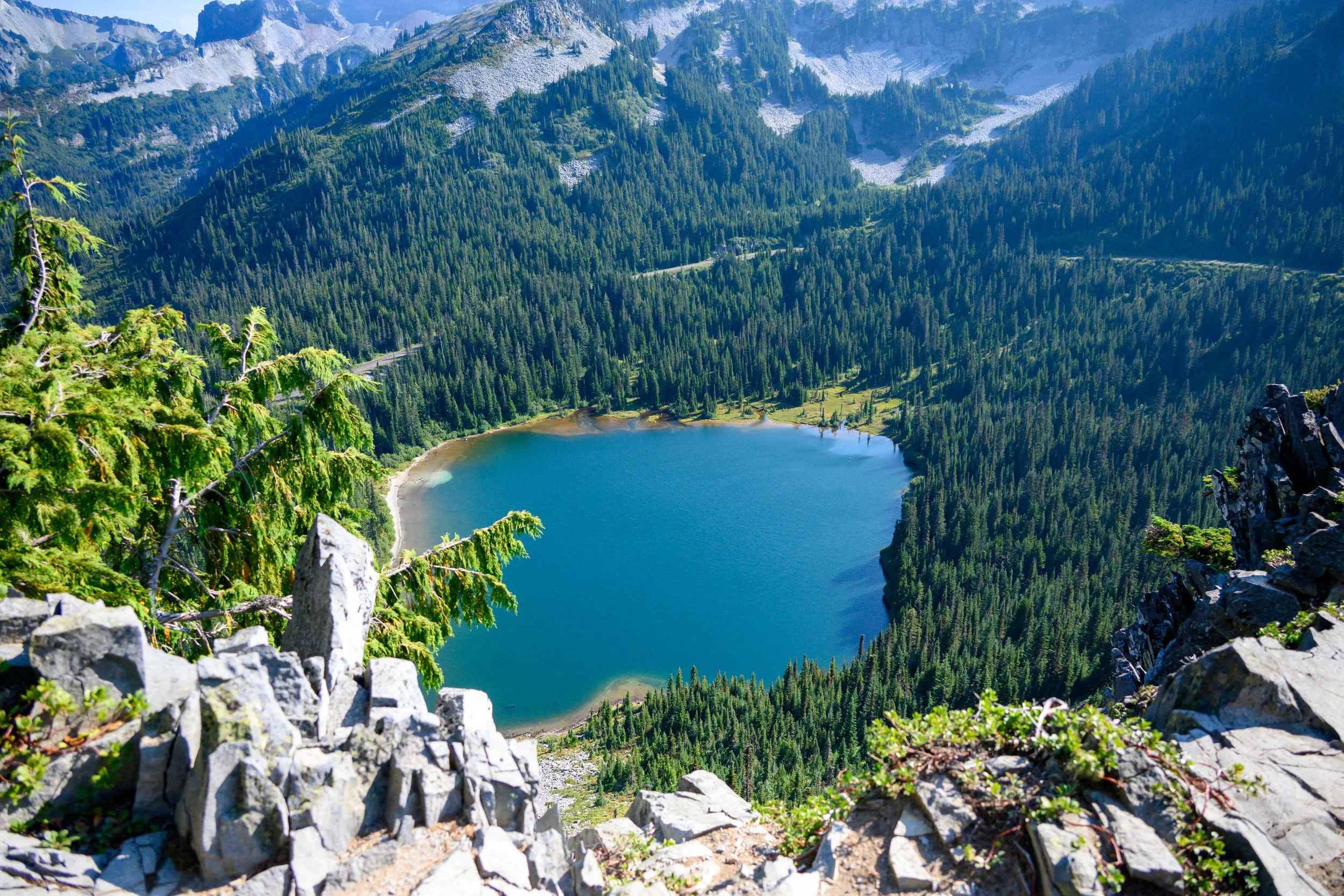 Mt. Rainier NP-42.jpg