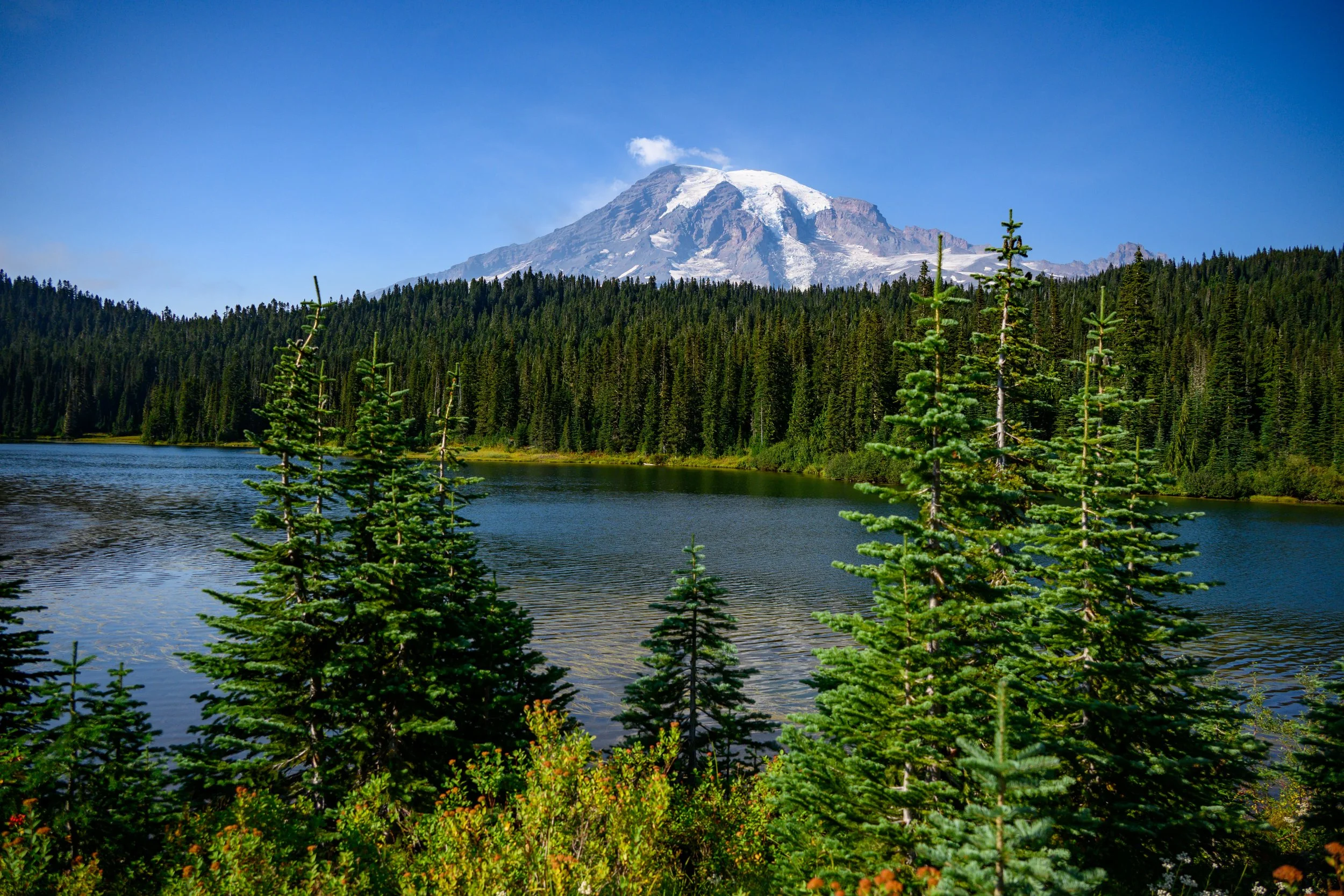 Mt. Rainier NP-43.jpg
