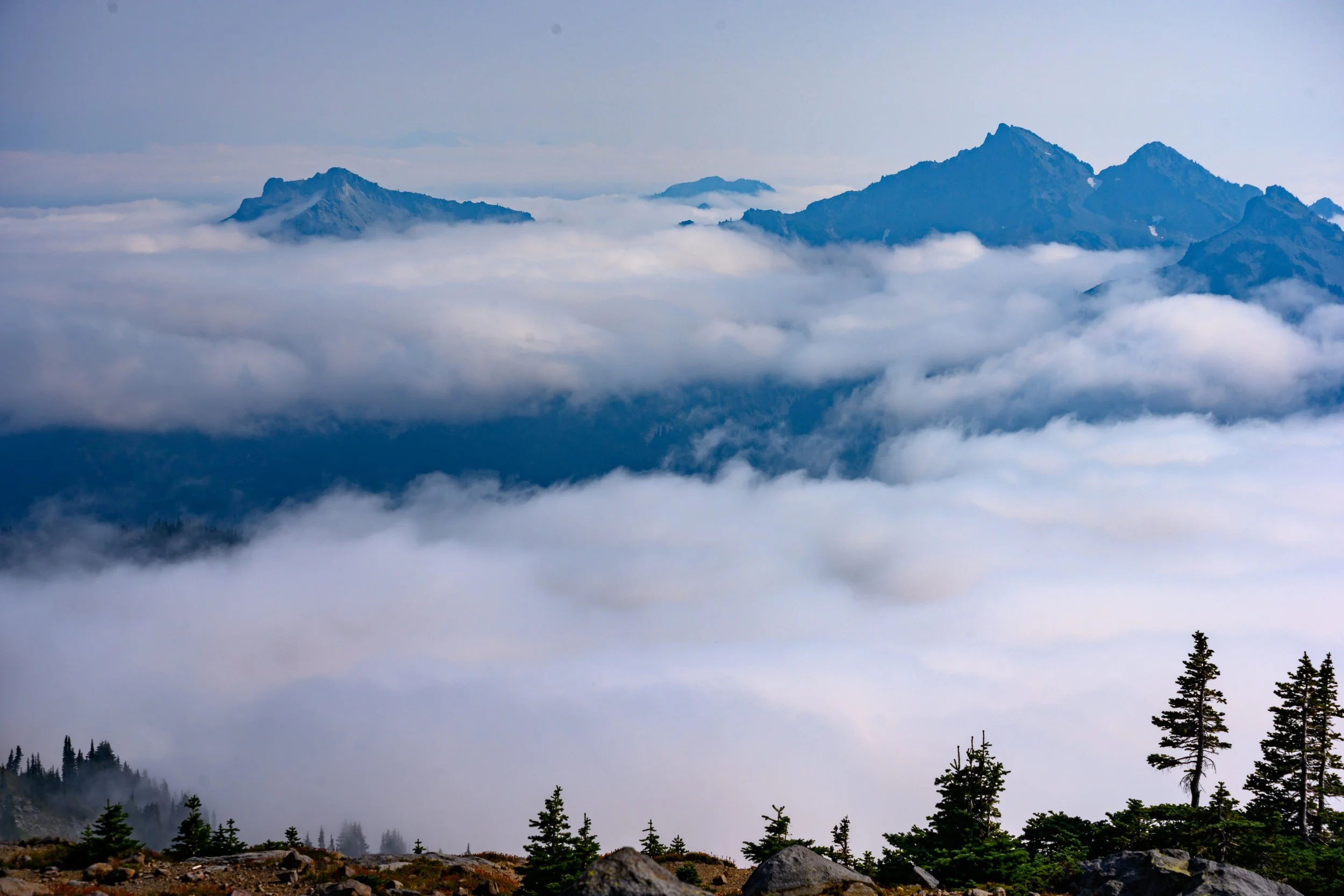 Mt. Rainier NP-46.jpg