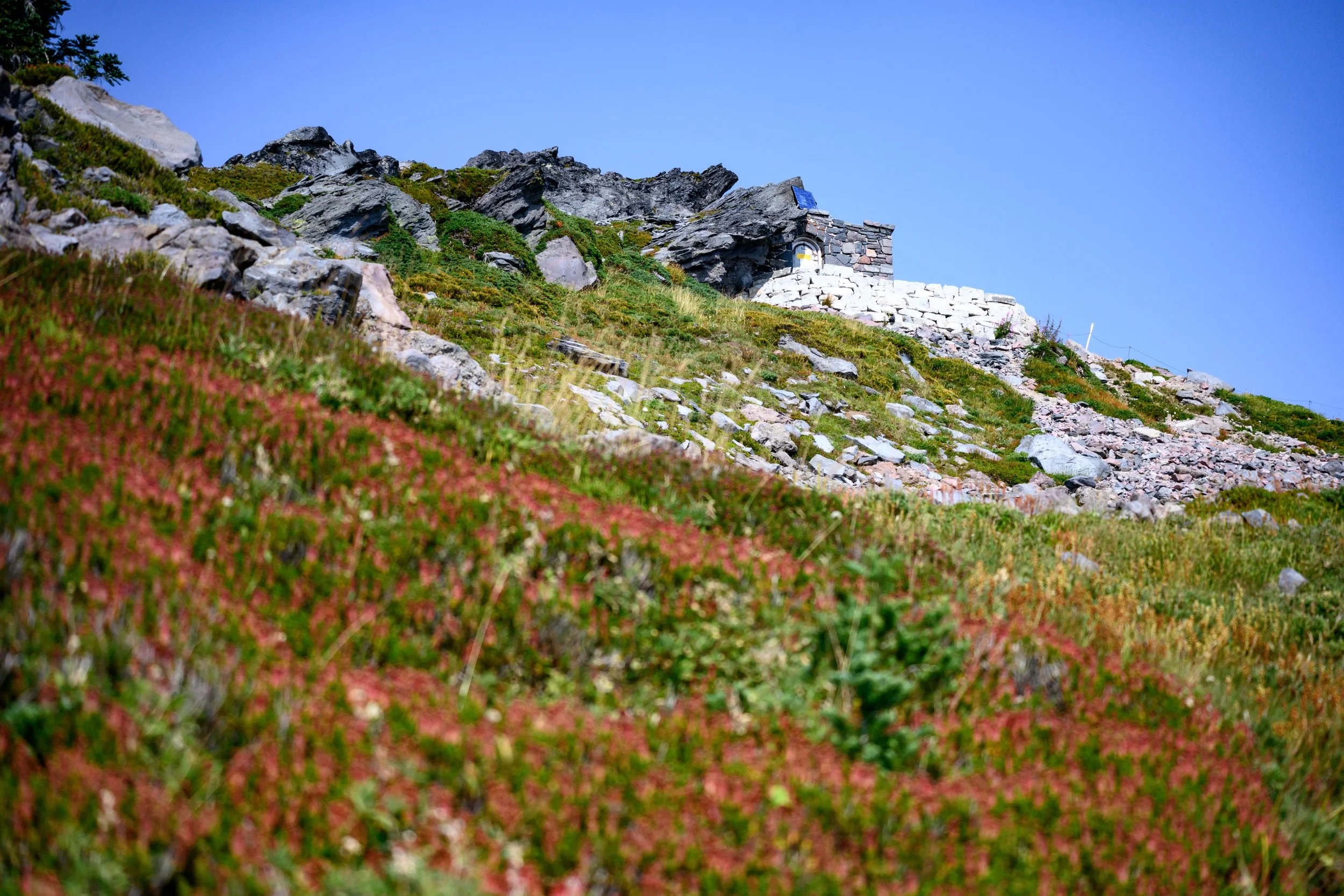 Mt. Rainier NP-47.jpg