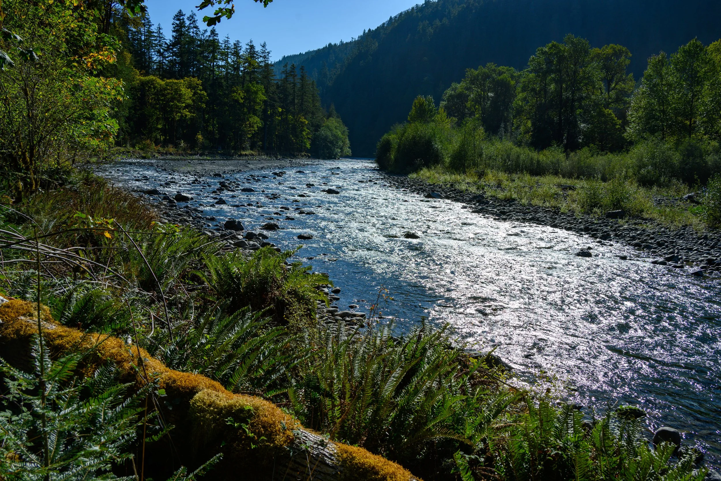 Olympic NP-6.jpg