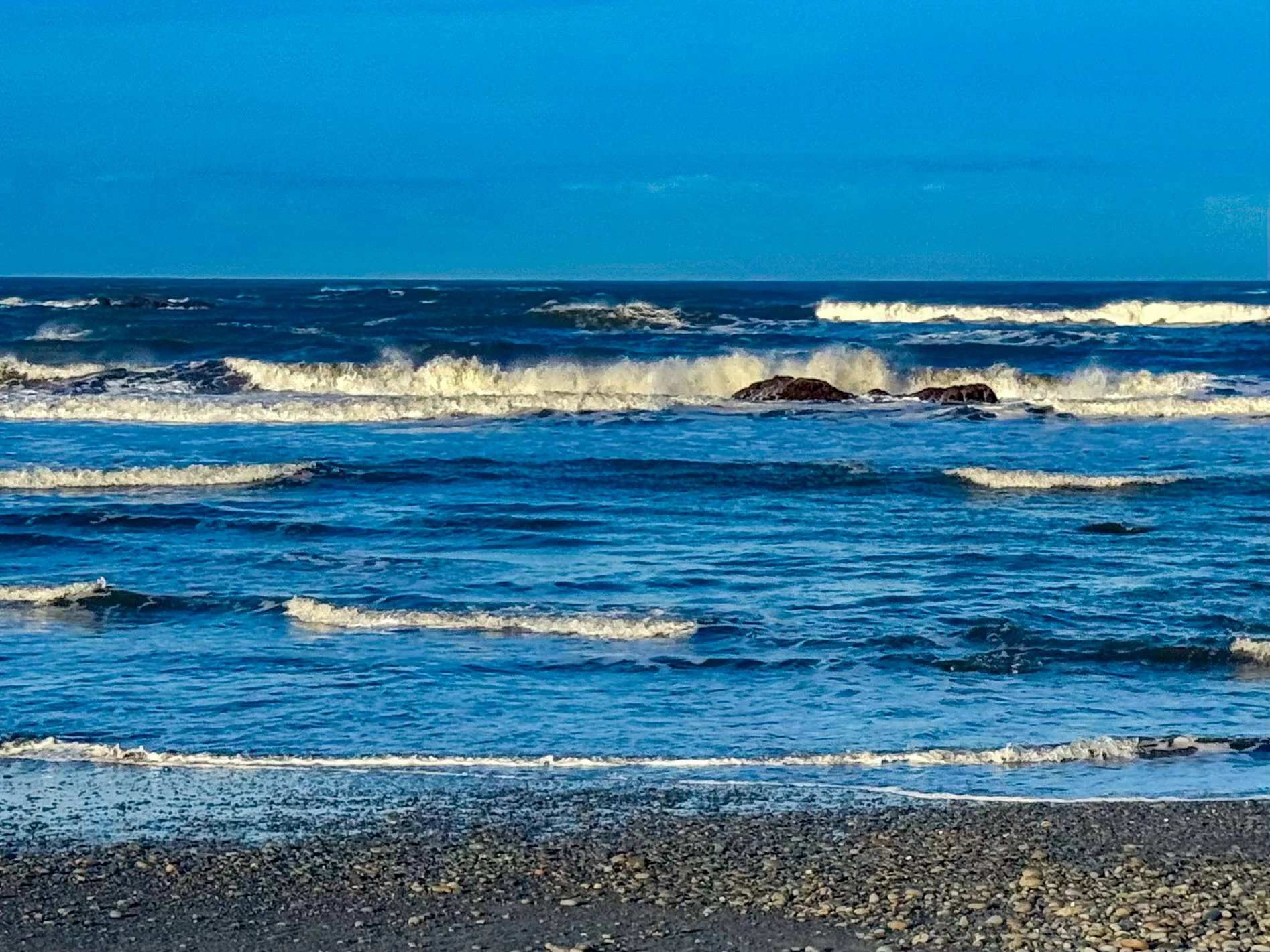 Olympic NP-17.jpg