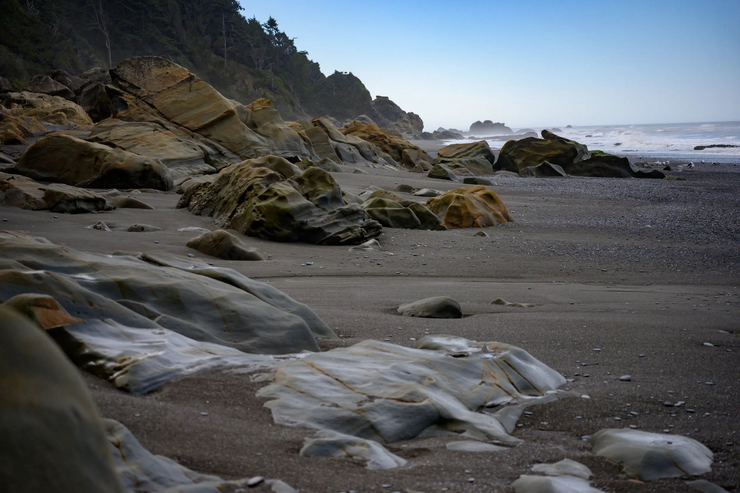Olympic NP-19.jpg