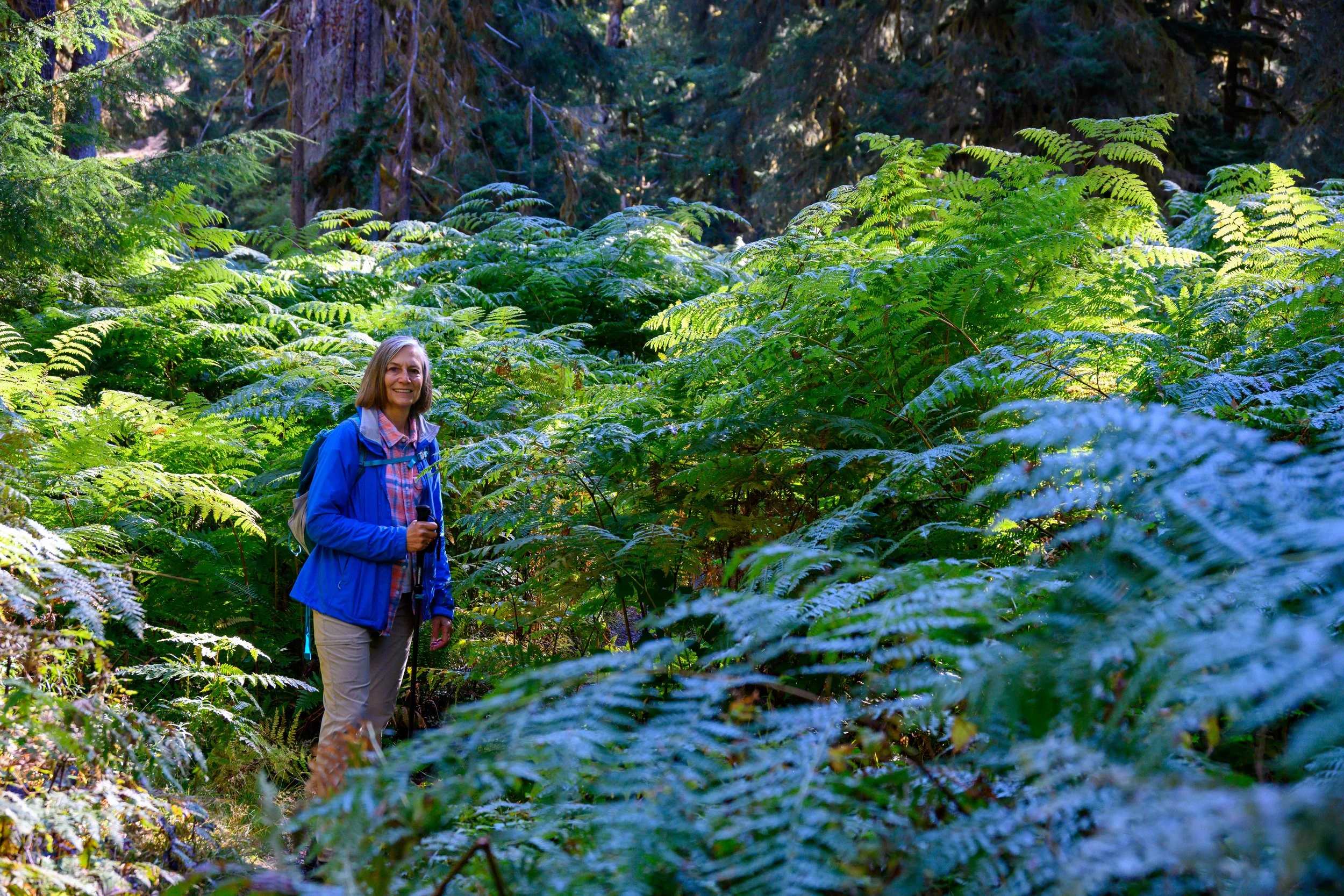 Olympic NP-12.jpg