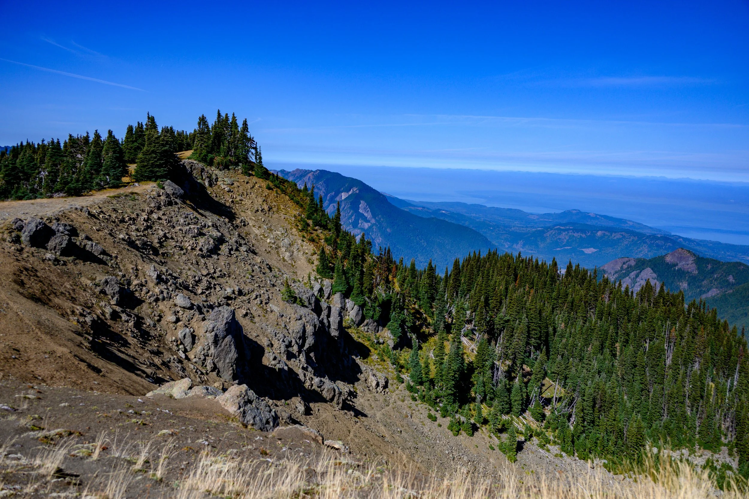 Olympic NP-1.jpg
