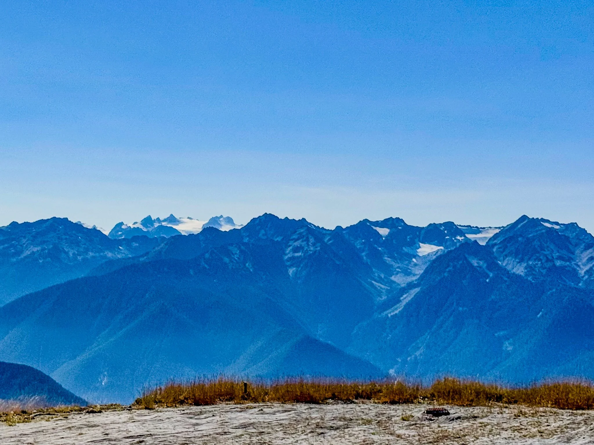 Olympic NP-4.jpg
