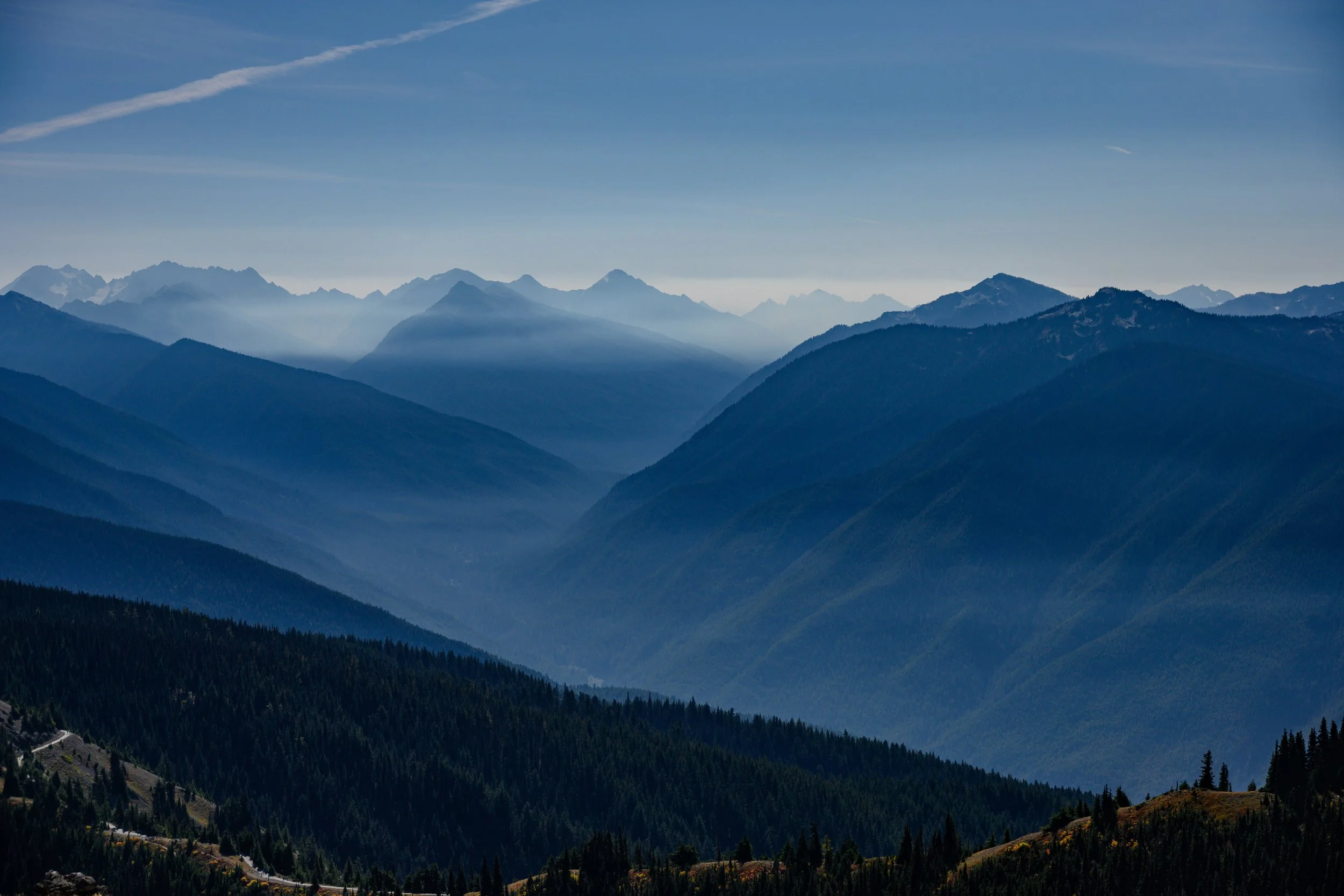 Olympic NP-21.jpg