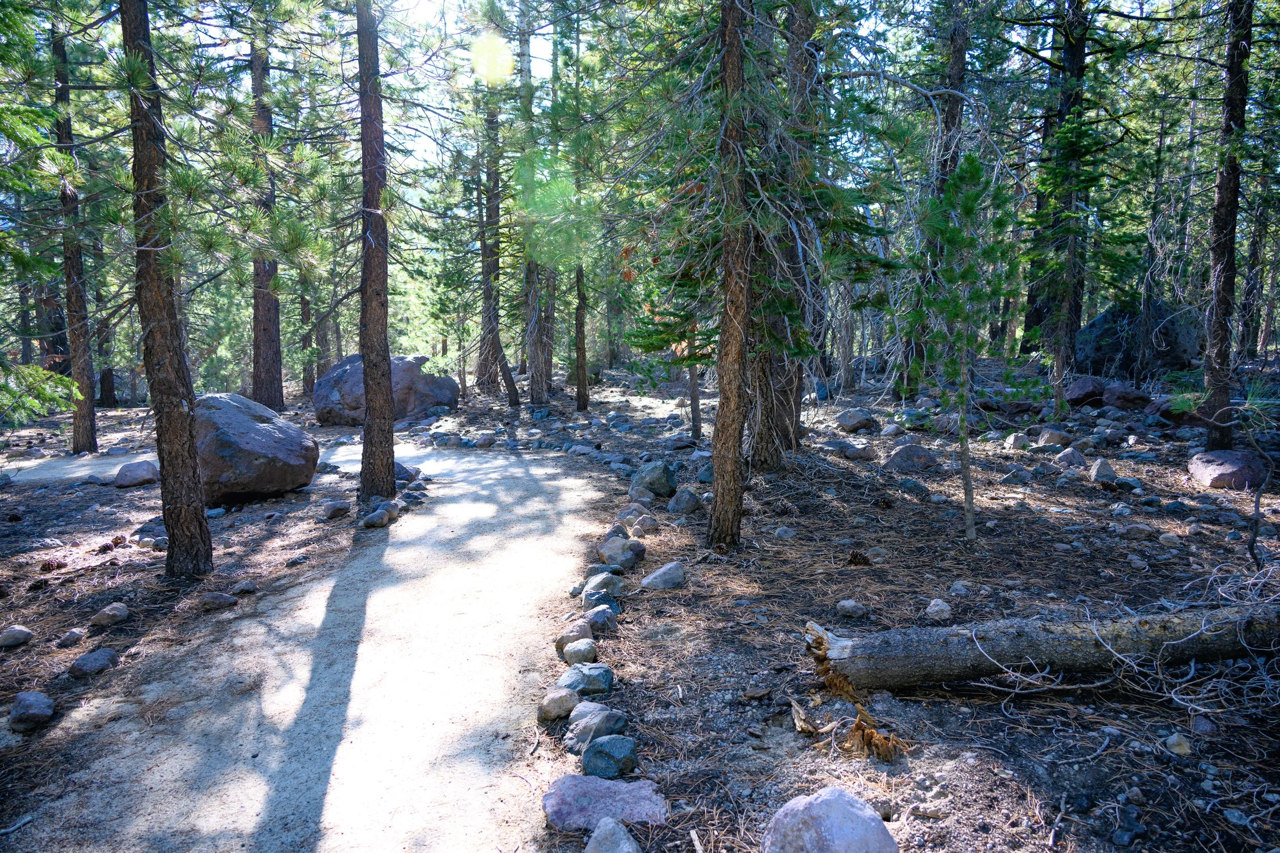 Lassen Volcanic NP-18.jpg