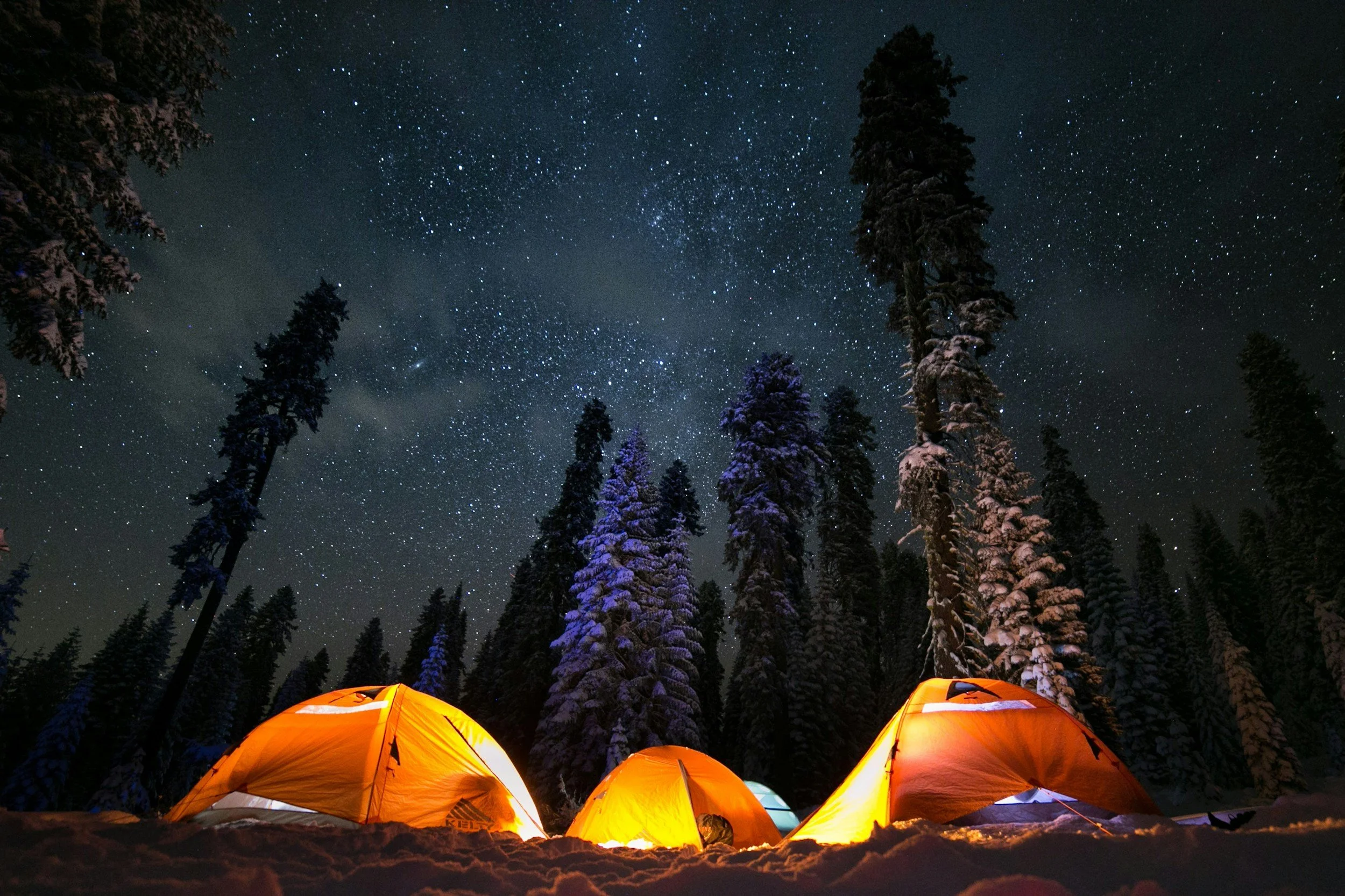 Night sky filled with stars above snow-covered trees and a few illuminated tents on the snowy ground.