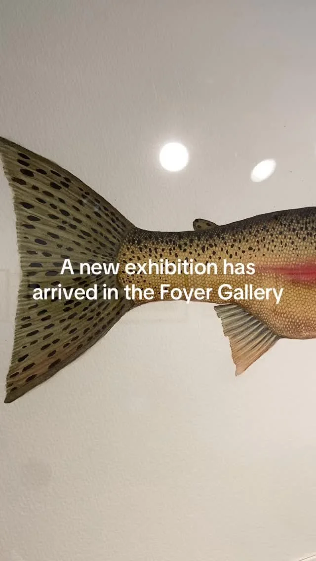New exhibition.jpg