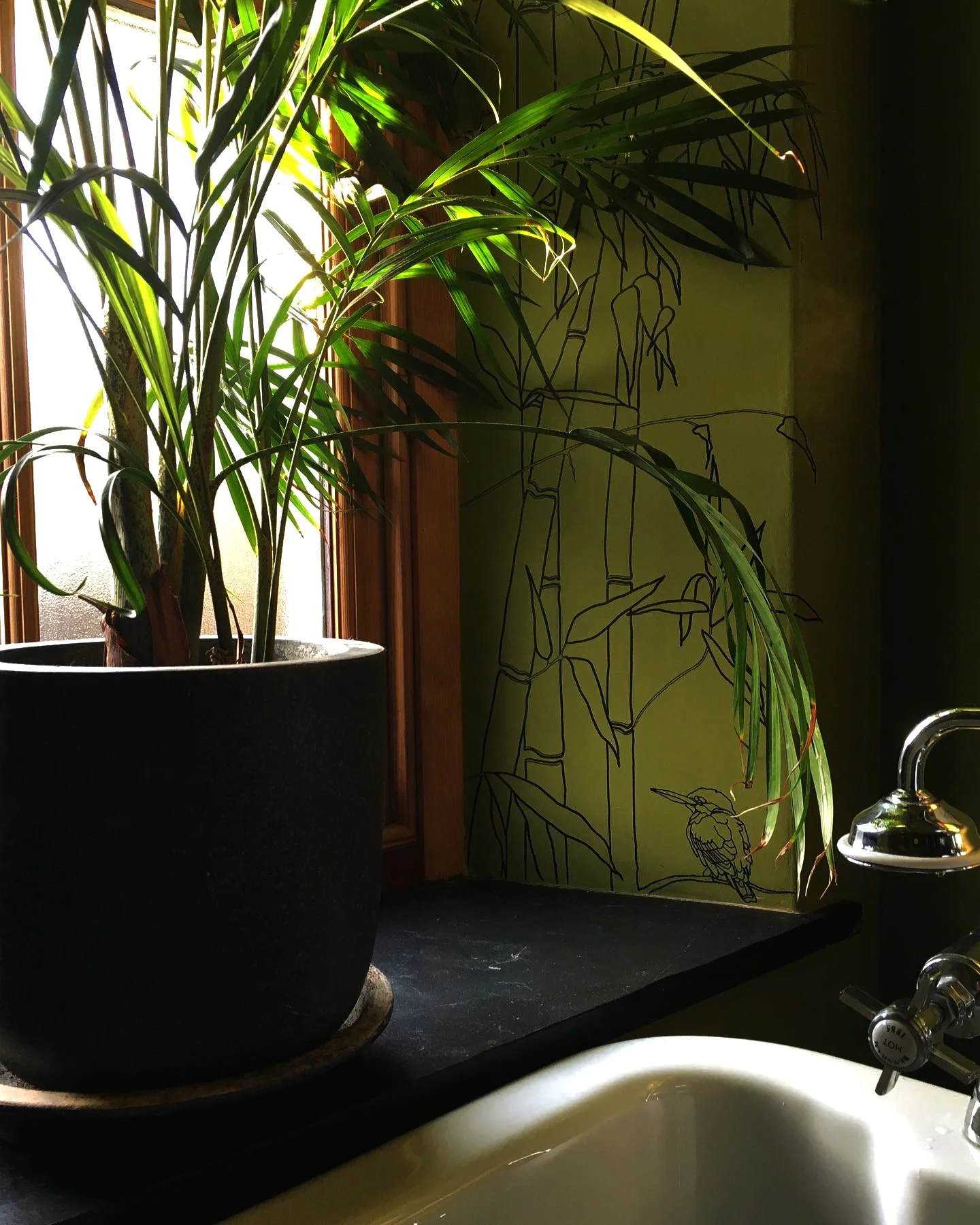 Bamboo 4.jpg