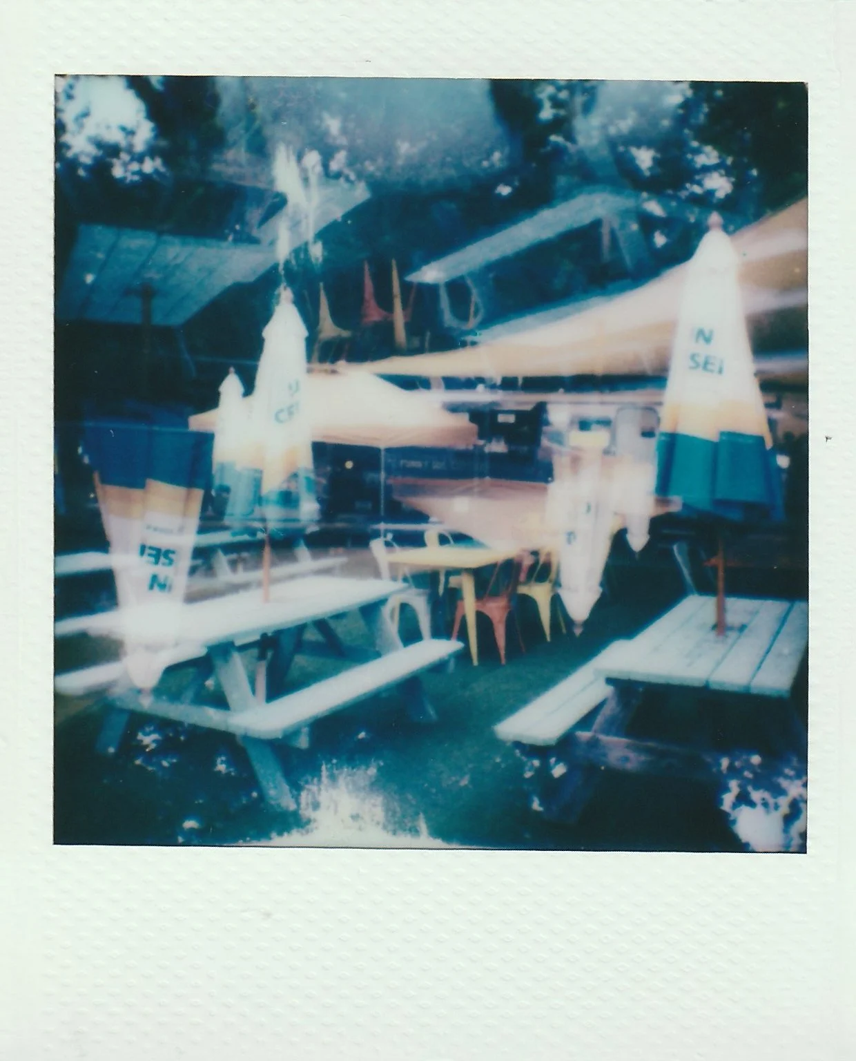 Polaroid go